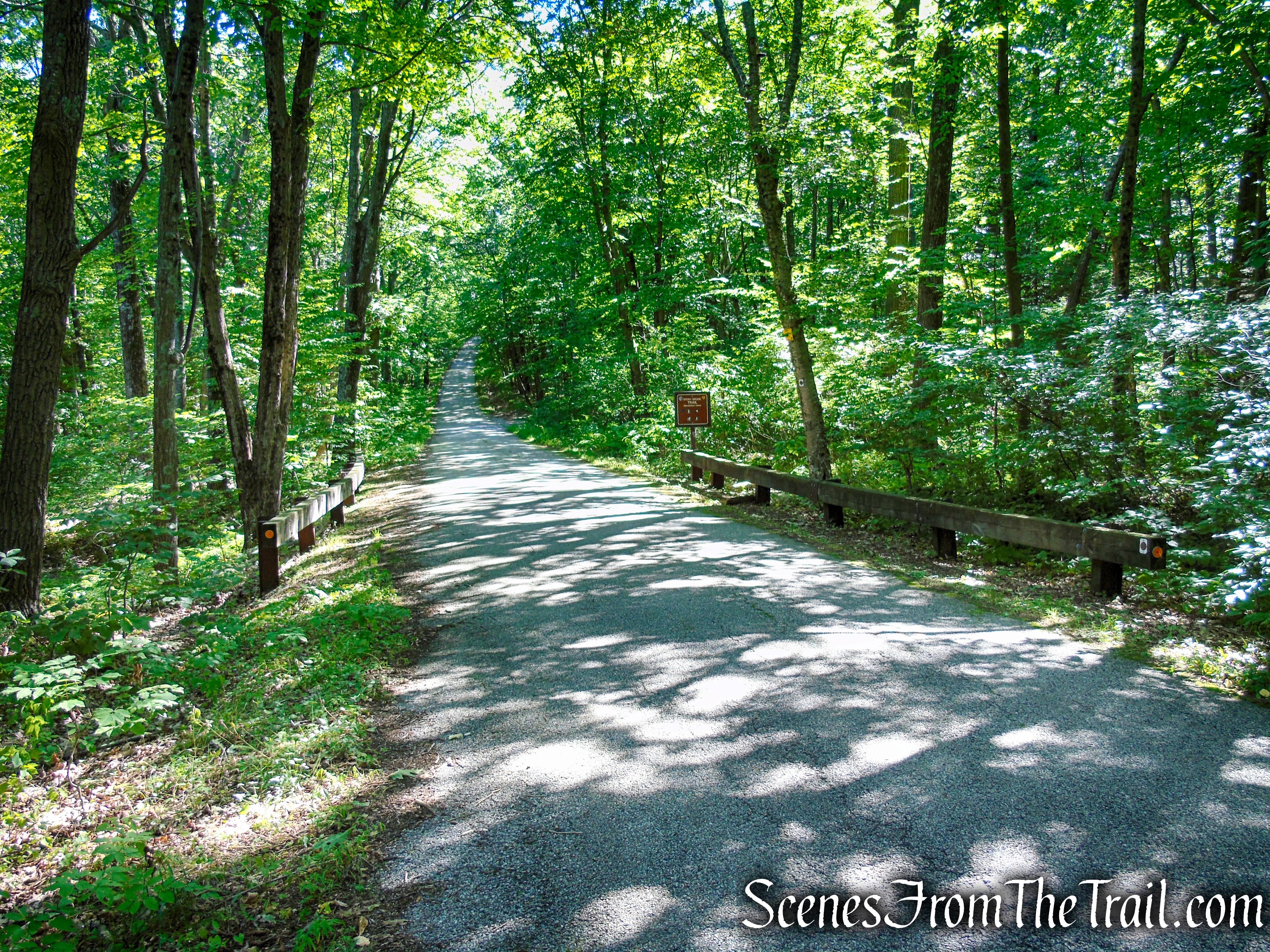 Stony Brook Trail - Stokes State Forest