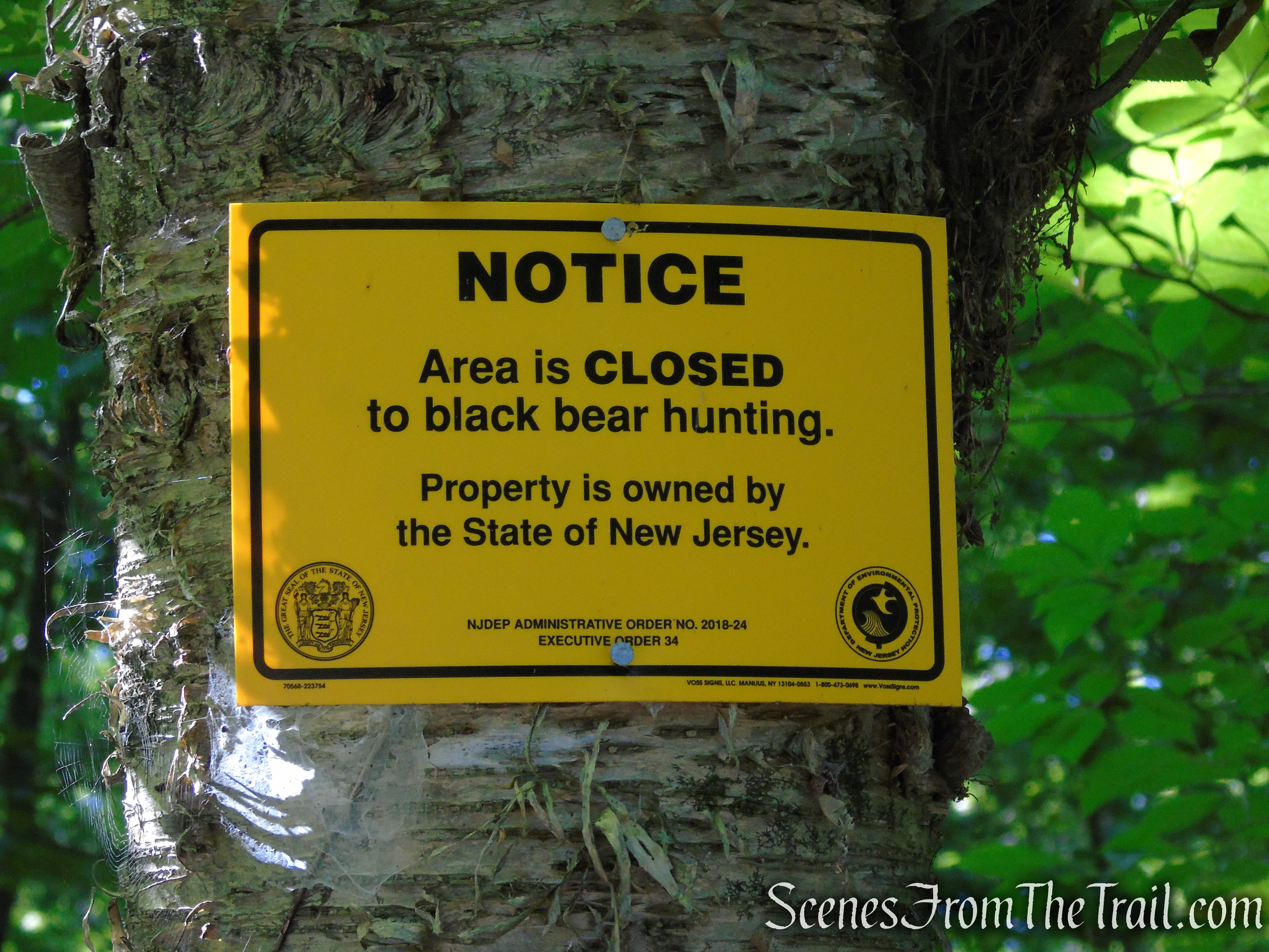 Stony Brook Trail - Stokes State Forest