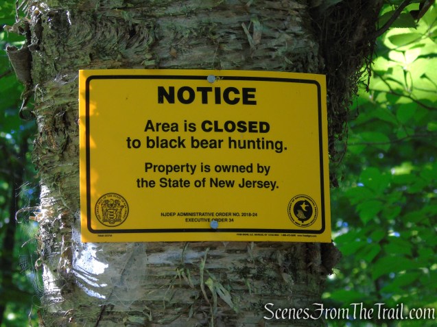 Stony Brook Trail - Stokes State Forest