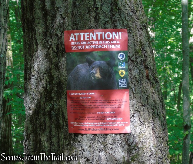 Gren Anderson Shelter - Stokes State Forest