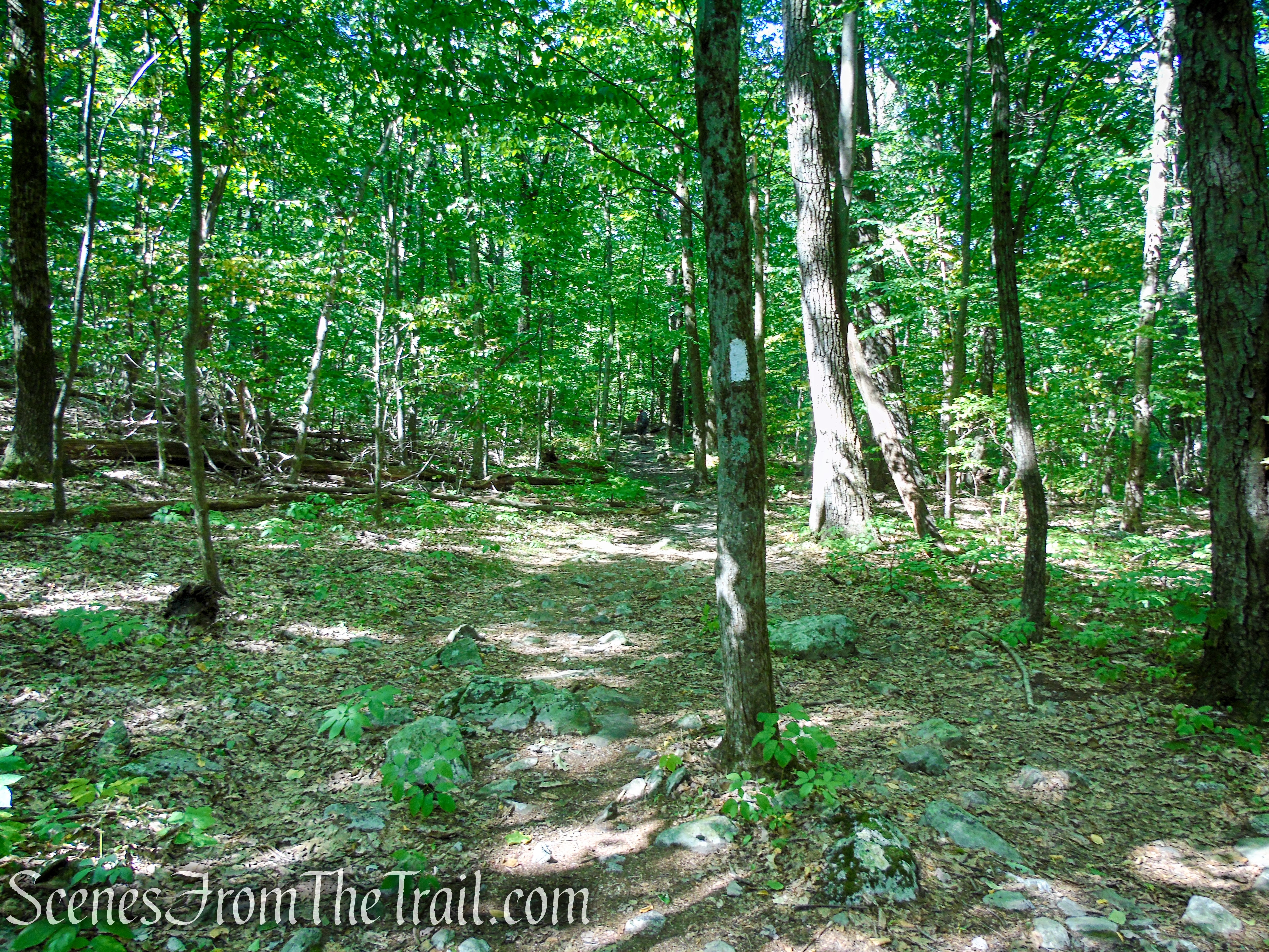 Appalachian Trail - Stokes State Forest