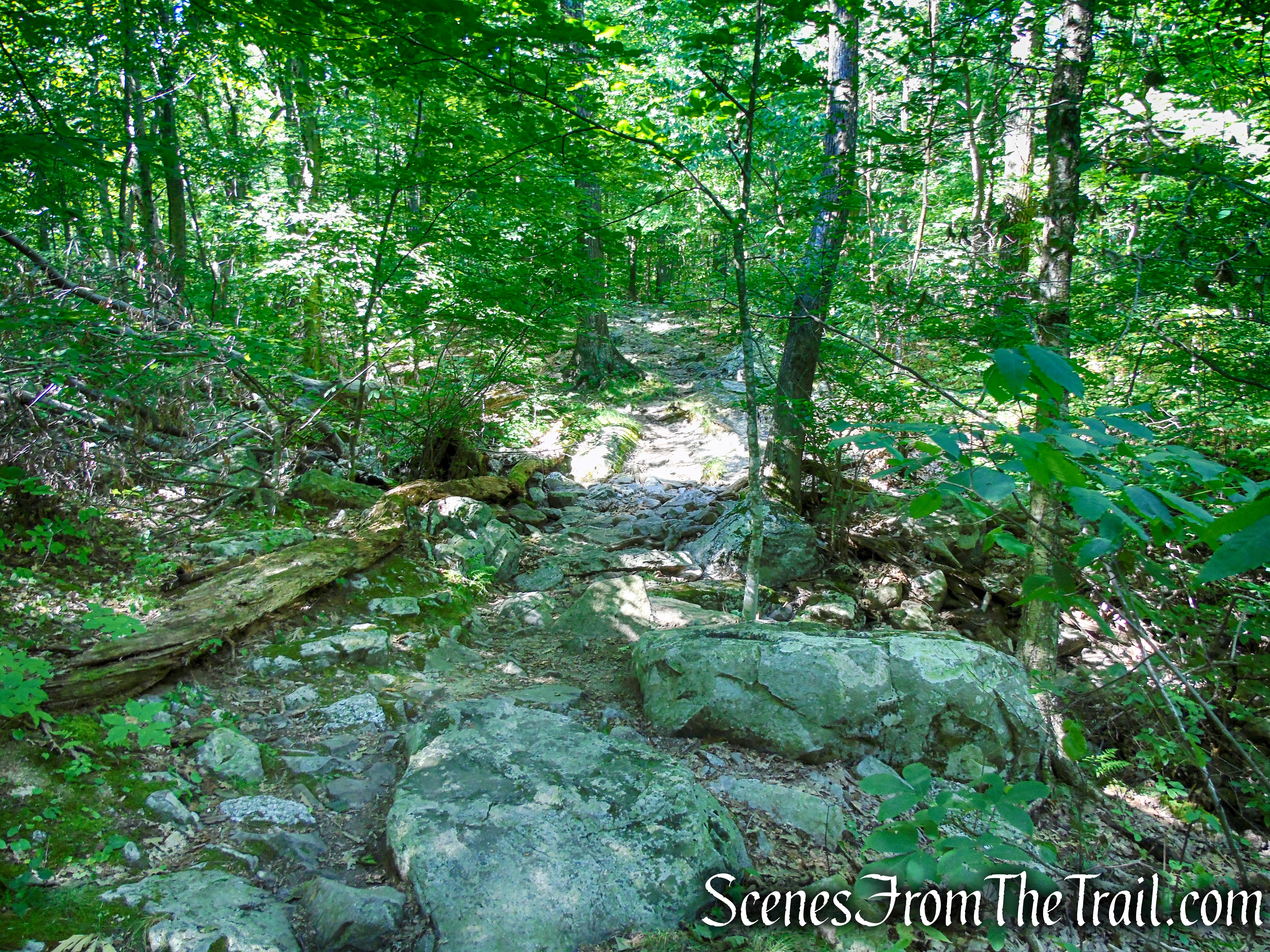 Appalachian Trail - Stokes State Forest