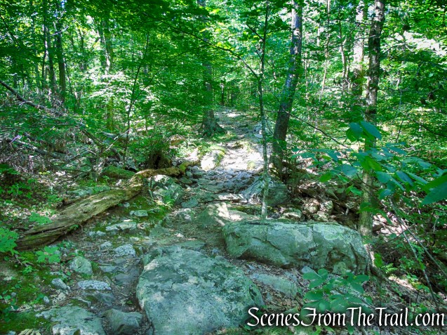 Appalachian Trail - Stokes State Forest