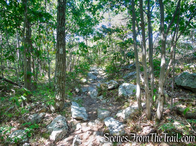 Appalachian Trail - Stokes State Forest