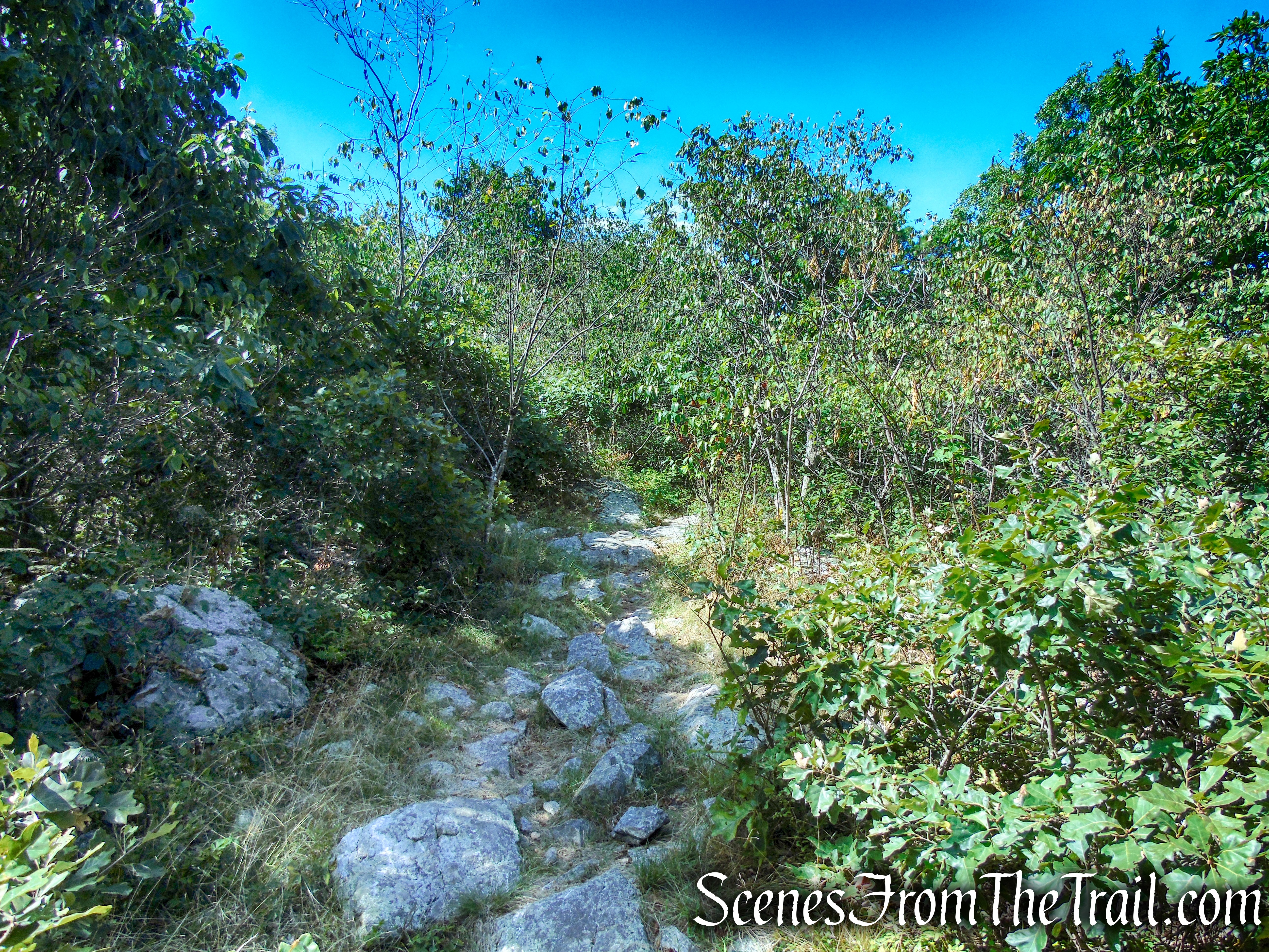 Appalachian Trail - Stokes State Forest