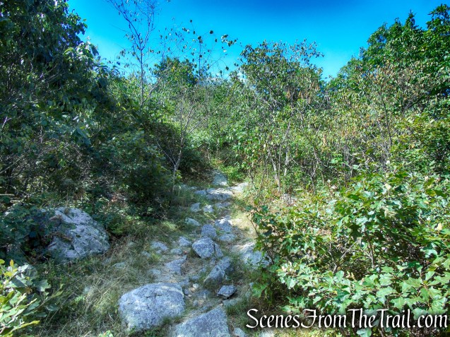 Appalachian Trail - Stokes State Forest