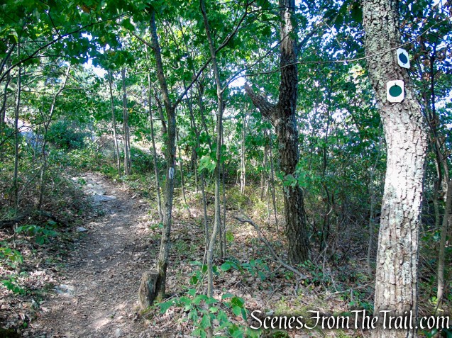 Continue past the junction with the Tower Trail