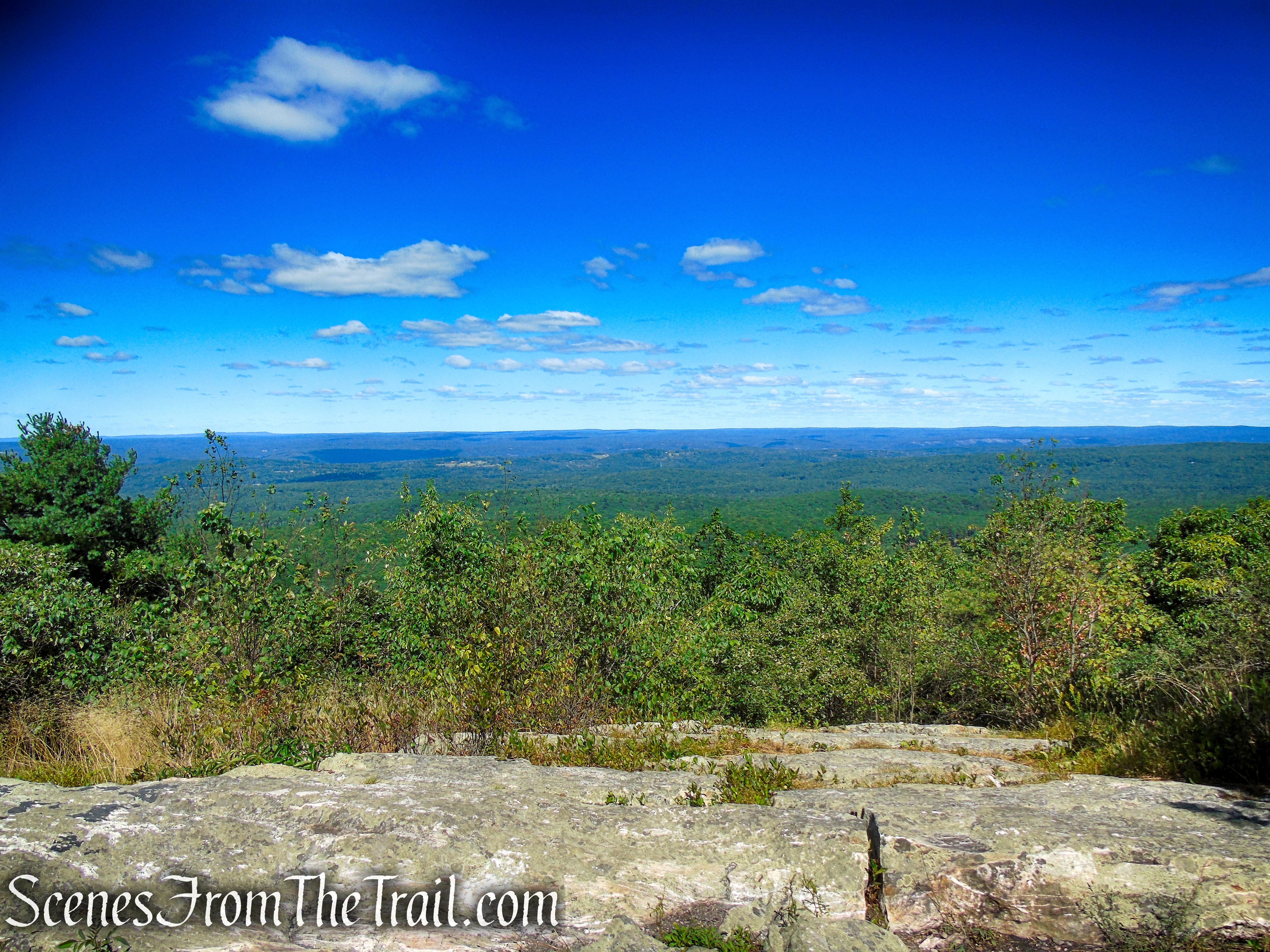 View west from near the base of the Culvers Station Lookout