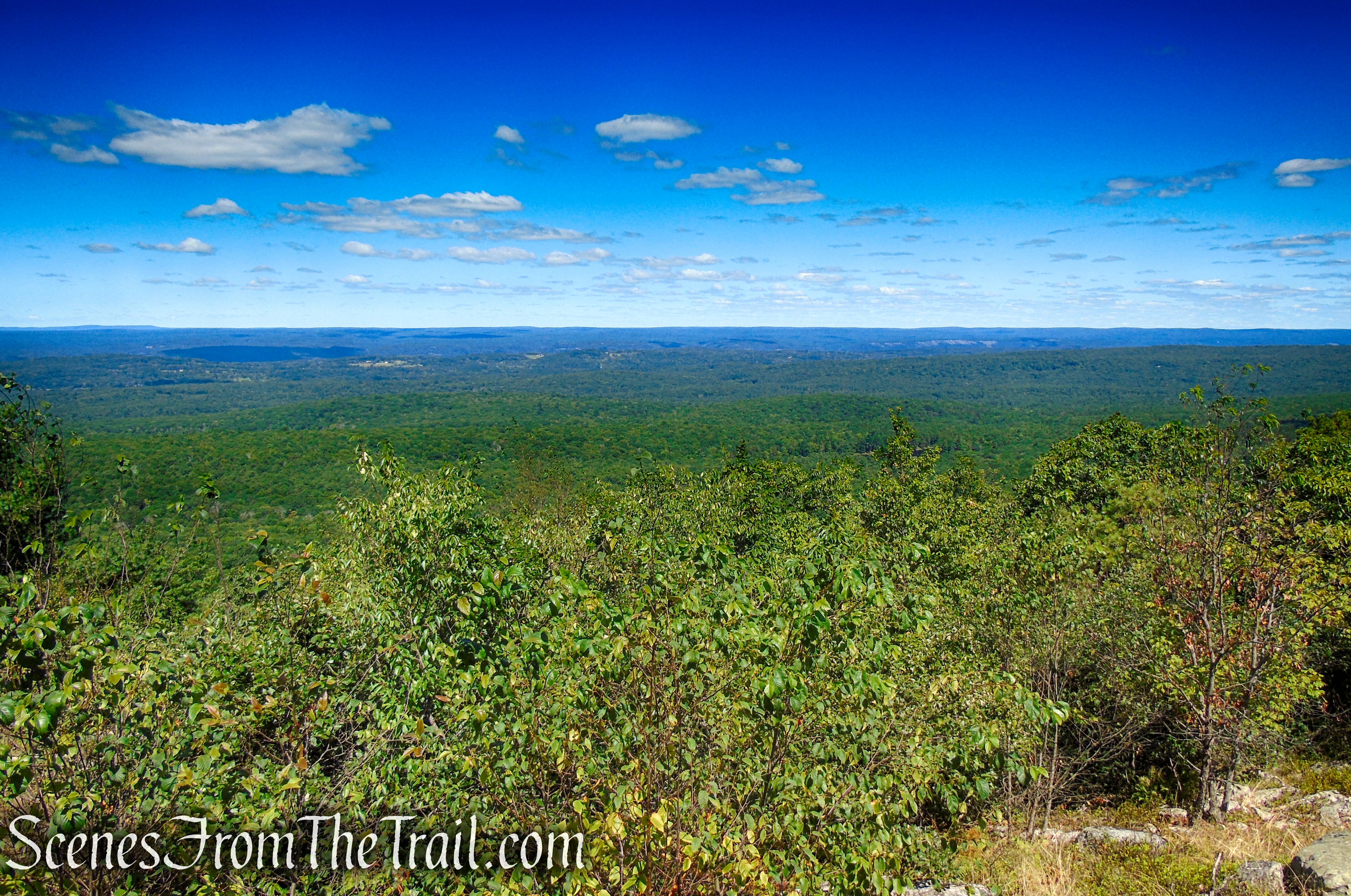 View northwest from near the base of the Culvers Station Lookout