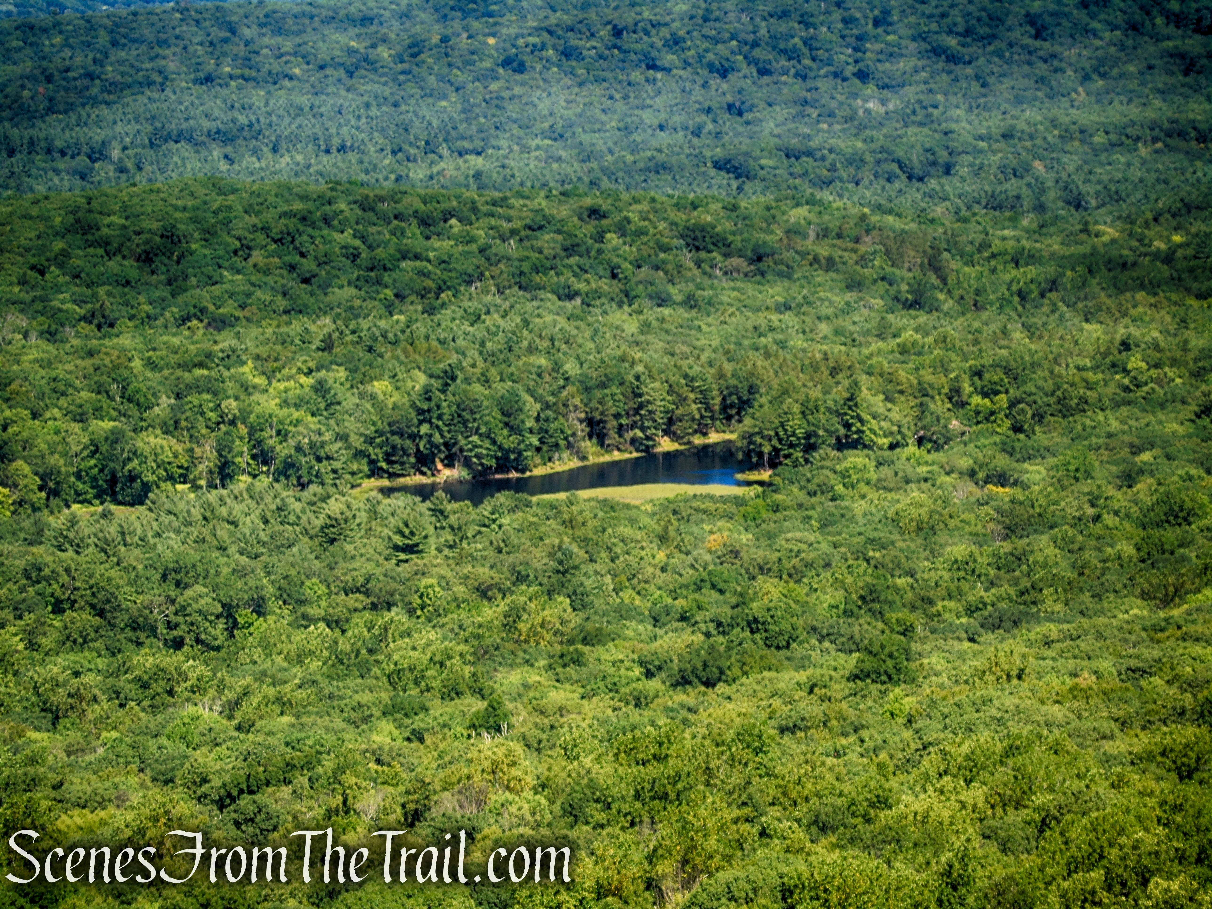 View of Stony Lake from near the base of the Culvers Station Lookout