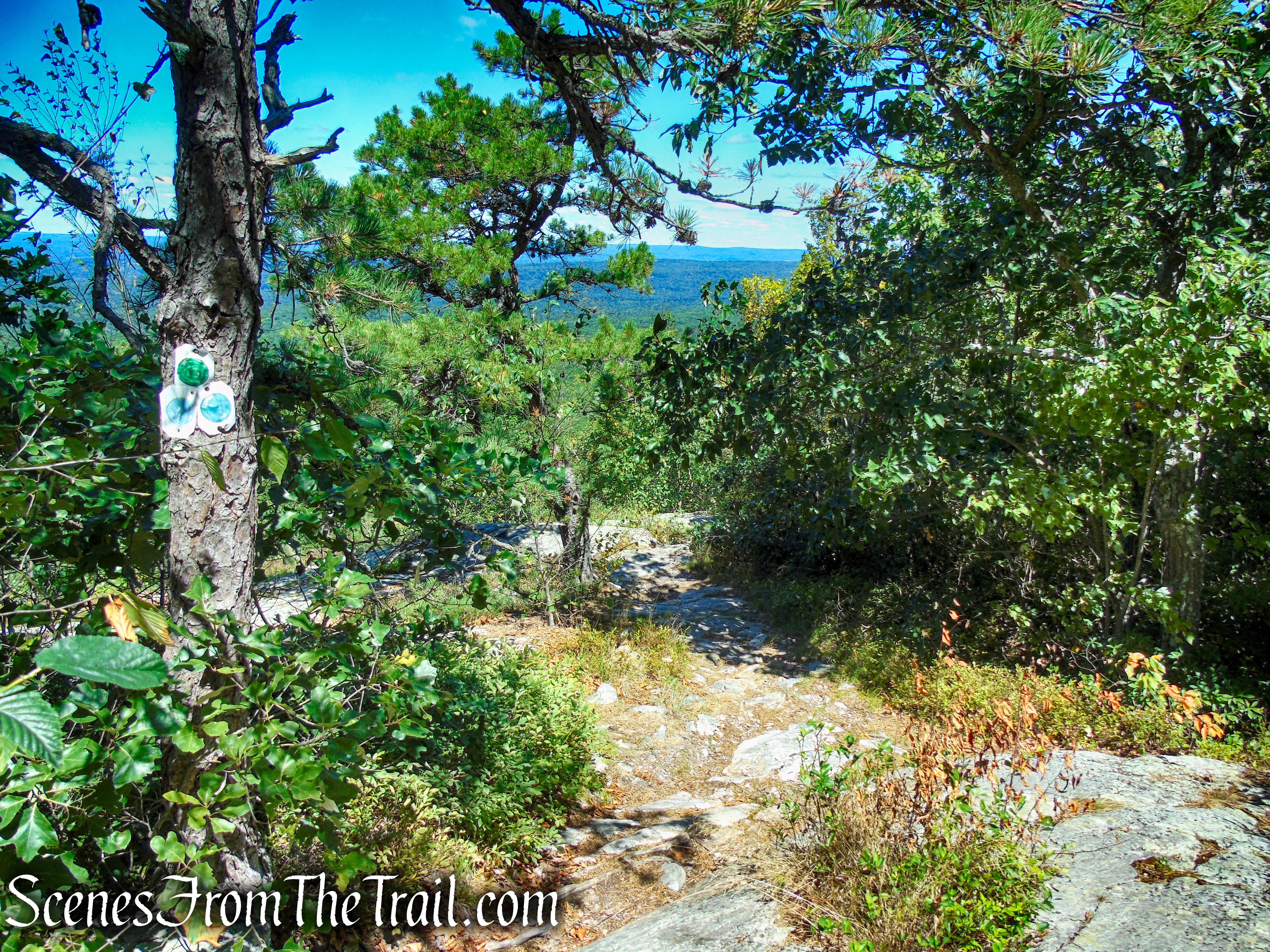 The start of the green-blazed Tower Trail