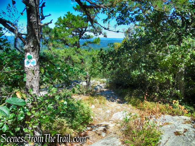 The start of the green-blazed Tower Trail