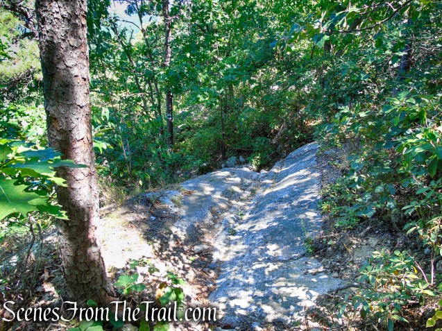 Tower Trail - Stokes State Forest