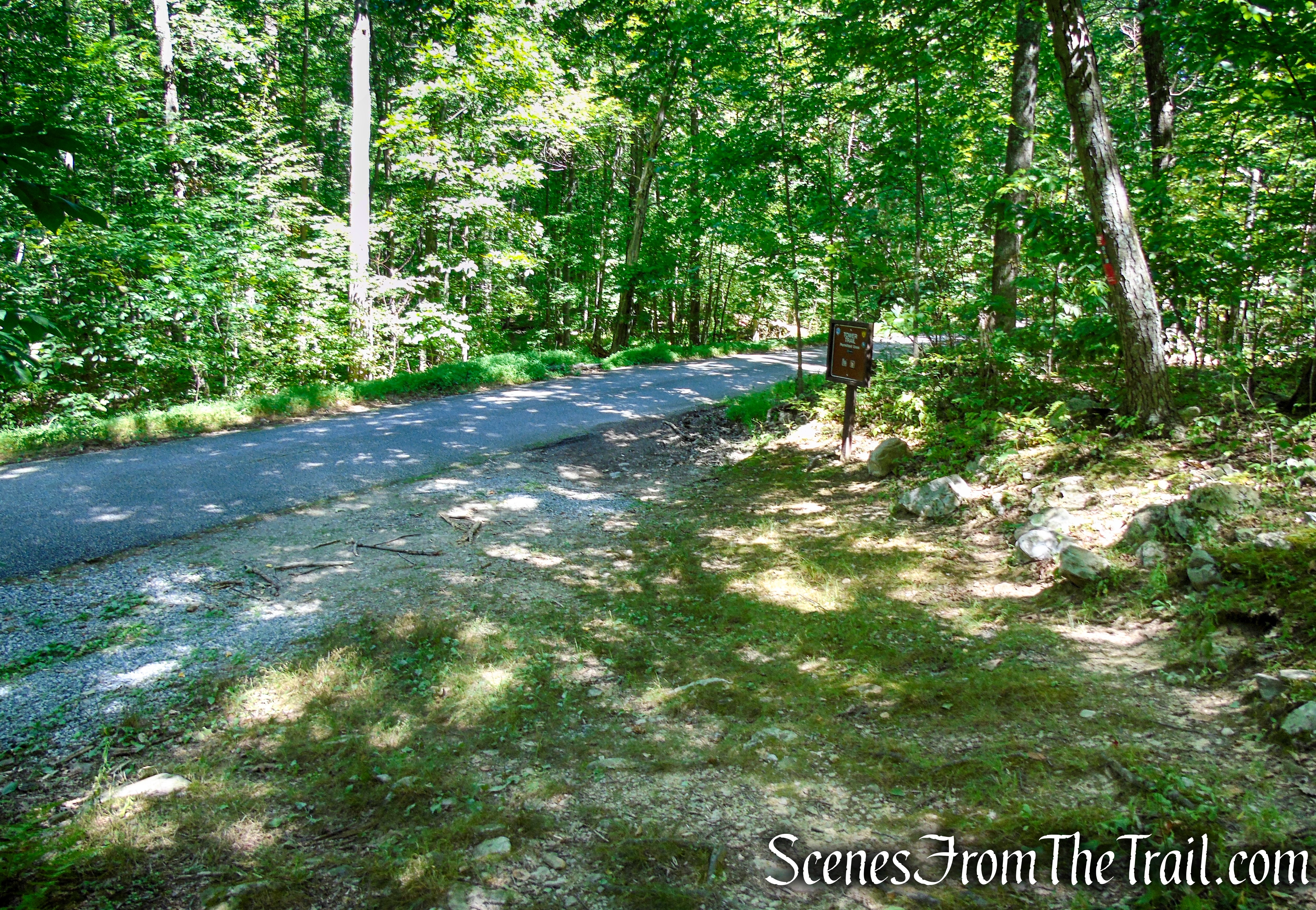 Tower Trail as it crosses Sunrise Mountain Road