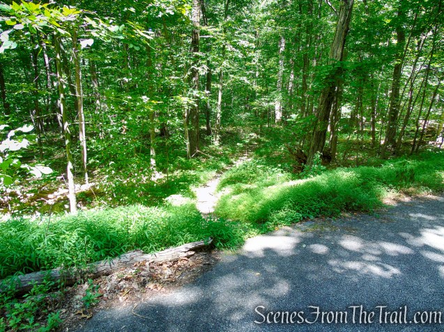 Tower Trail as it crosses Sunrise Mountain Road