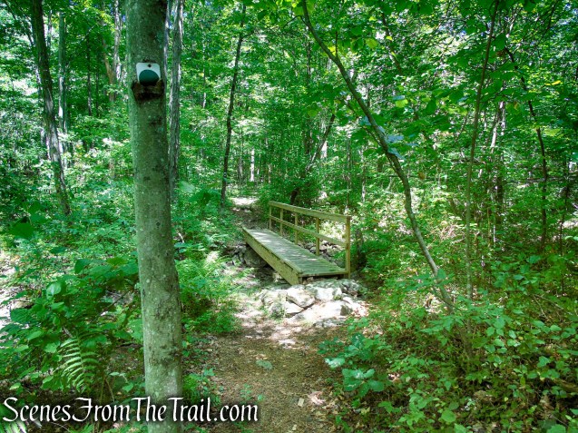 Tower Trail - Stokes State Forest