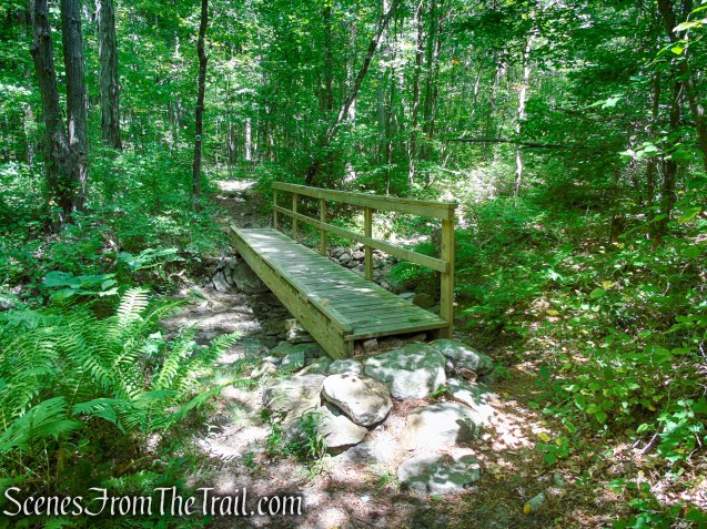 Tower Trail - Stokes State Forest