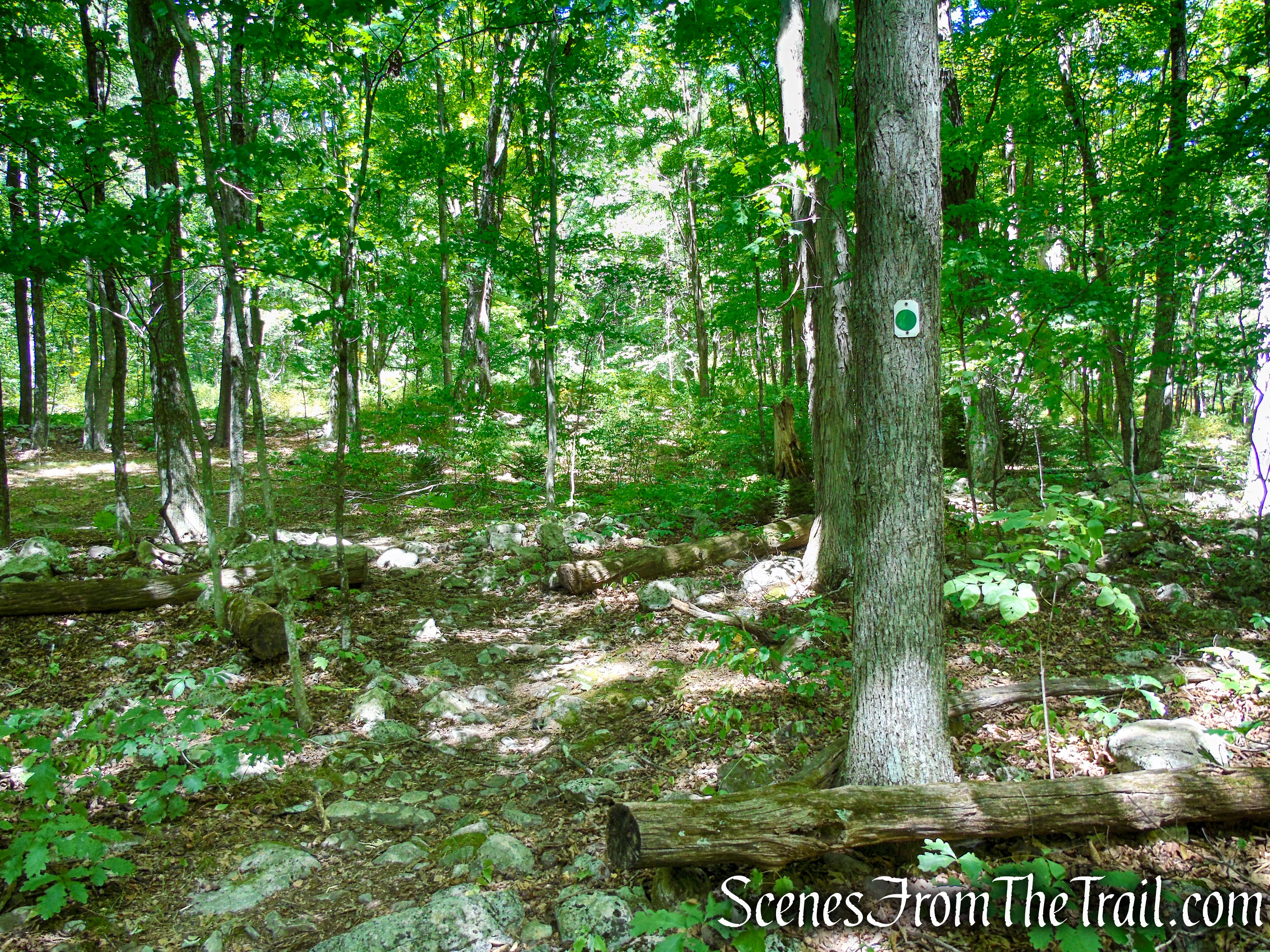 Tower Trail - Stokes State Forest