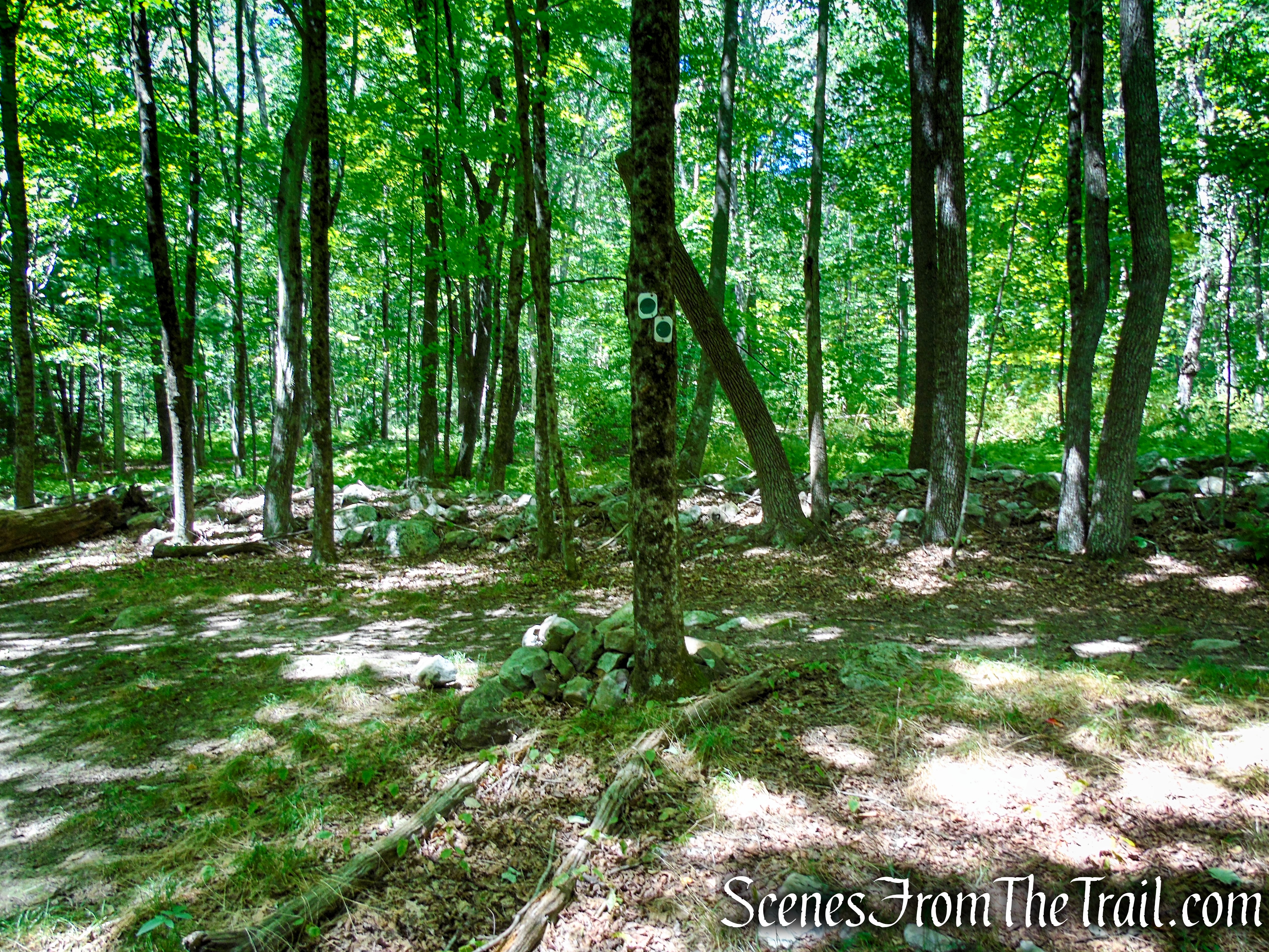 Turn left at the junction with the Stony Brook Trail