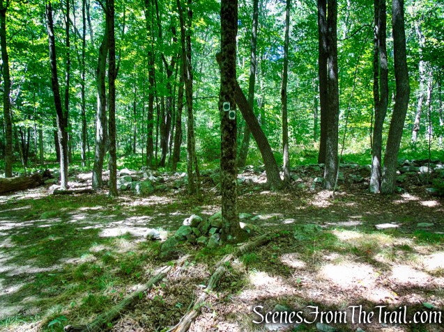Turn left at the junction with the Stony Brook Trail
