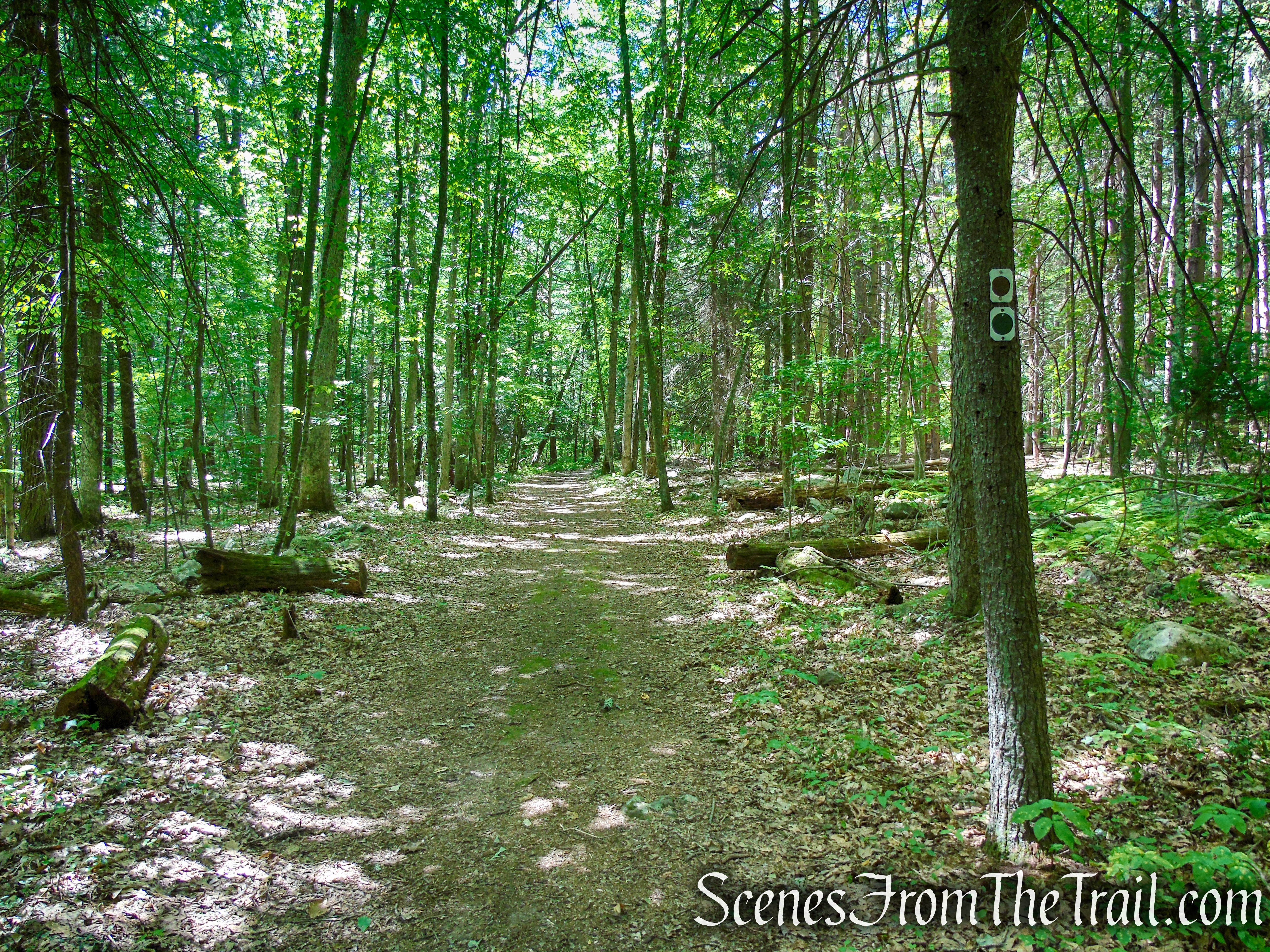 coaligned Stony Brook/Tower trails