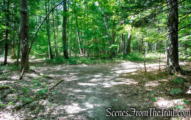 Turn right to remain on coaligned Stony Brook/Tower trails