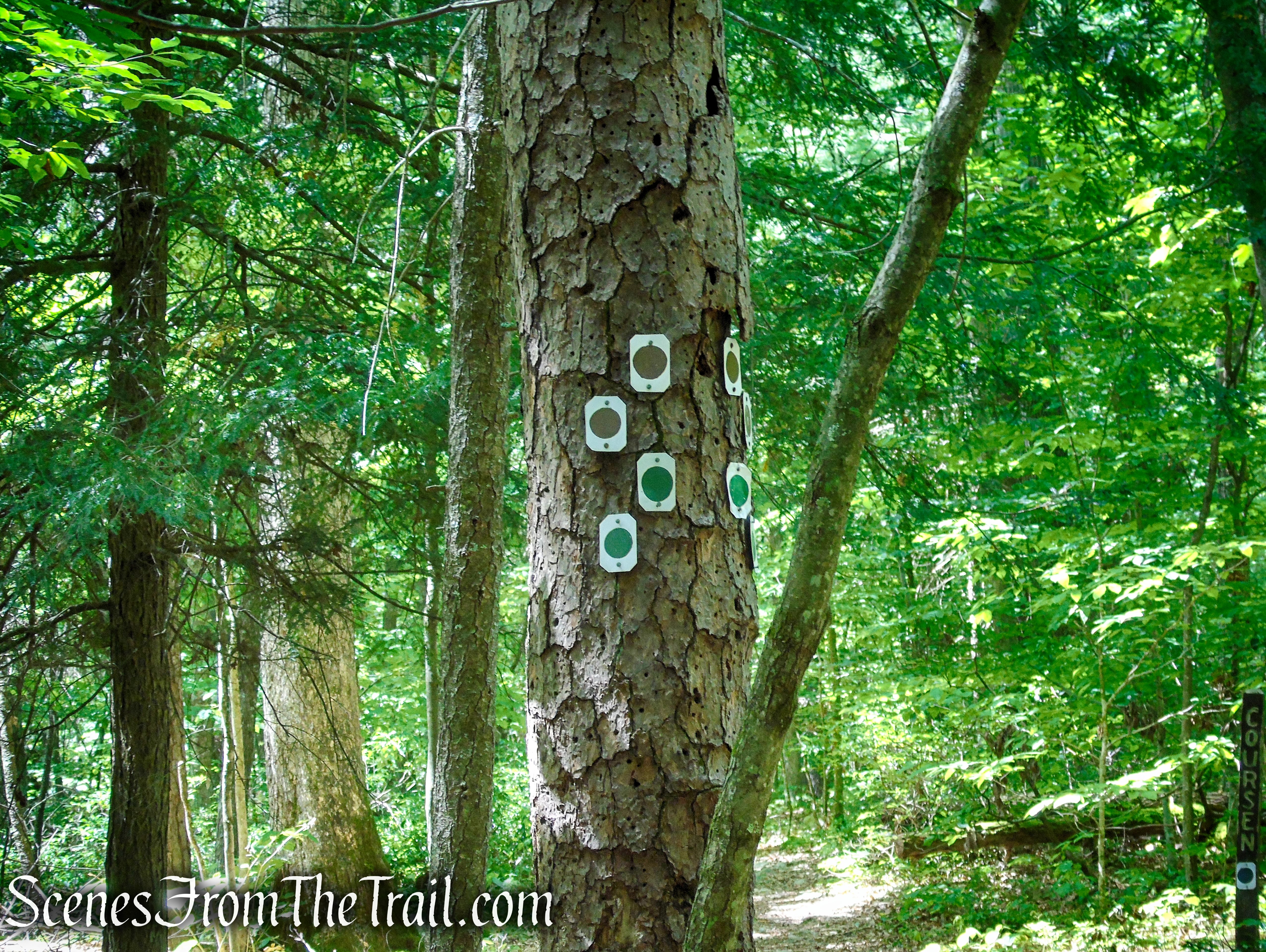 Turn right to remain on coaligned Stony Brook/Tower trails