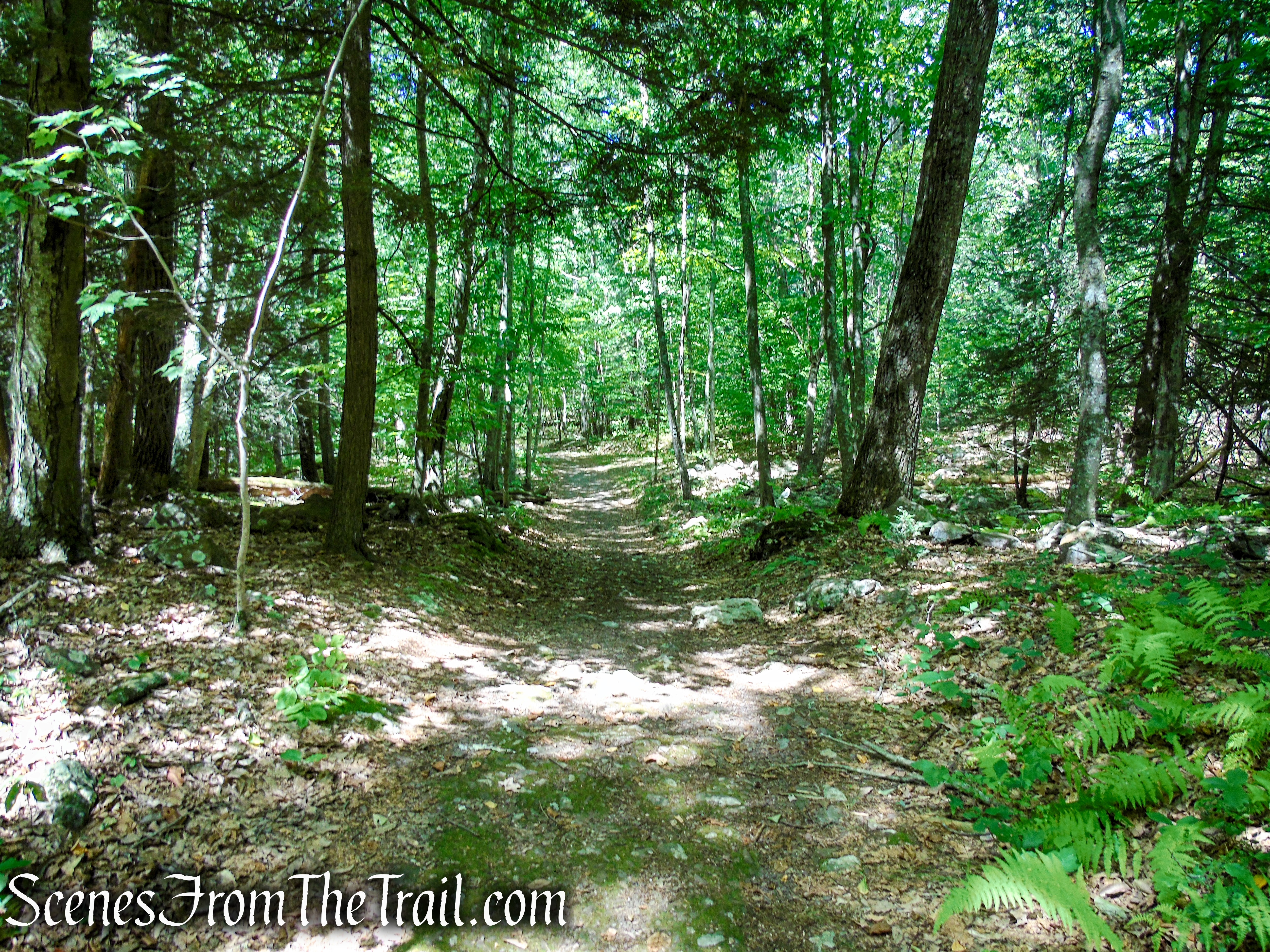coaligned Stony Brook/Tower trails