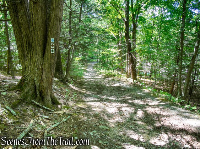 coaligned Blue Mountain Loop/Stony Brook/Tower trails