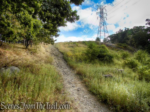 Power Lines Trail - High Tor State Park