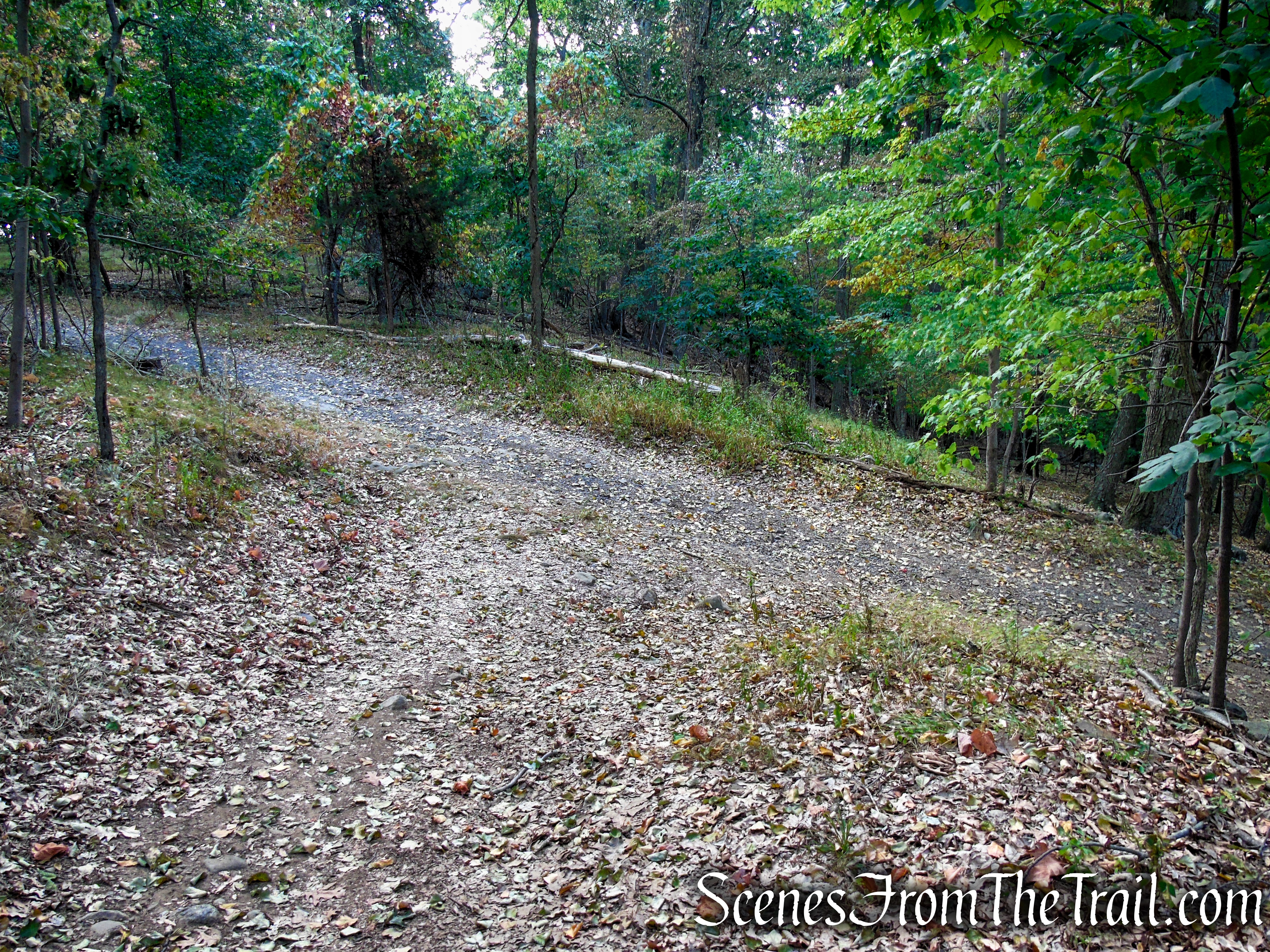 Turn left on Long Path