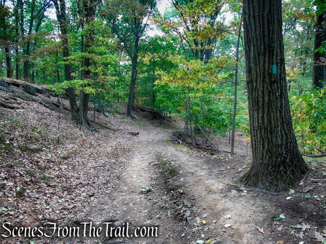 Long Path - High Tor State Park