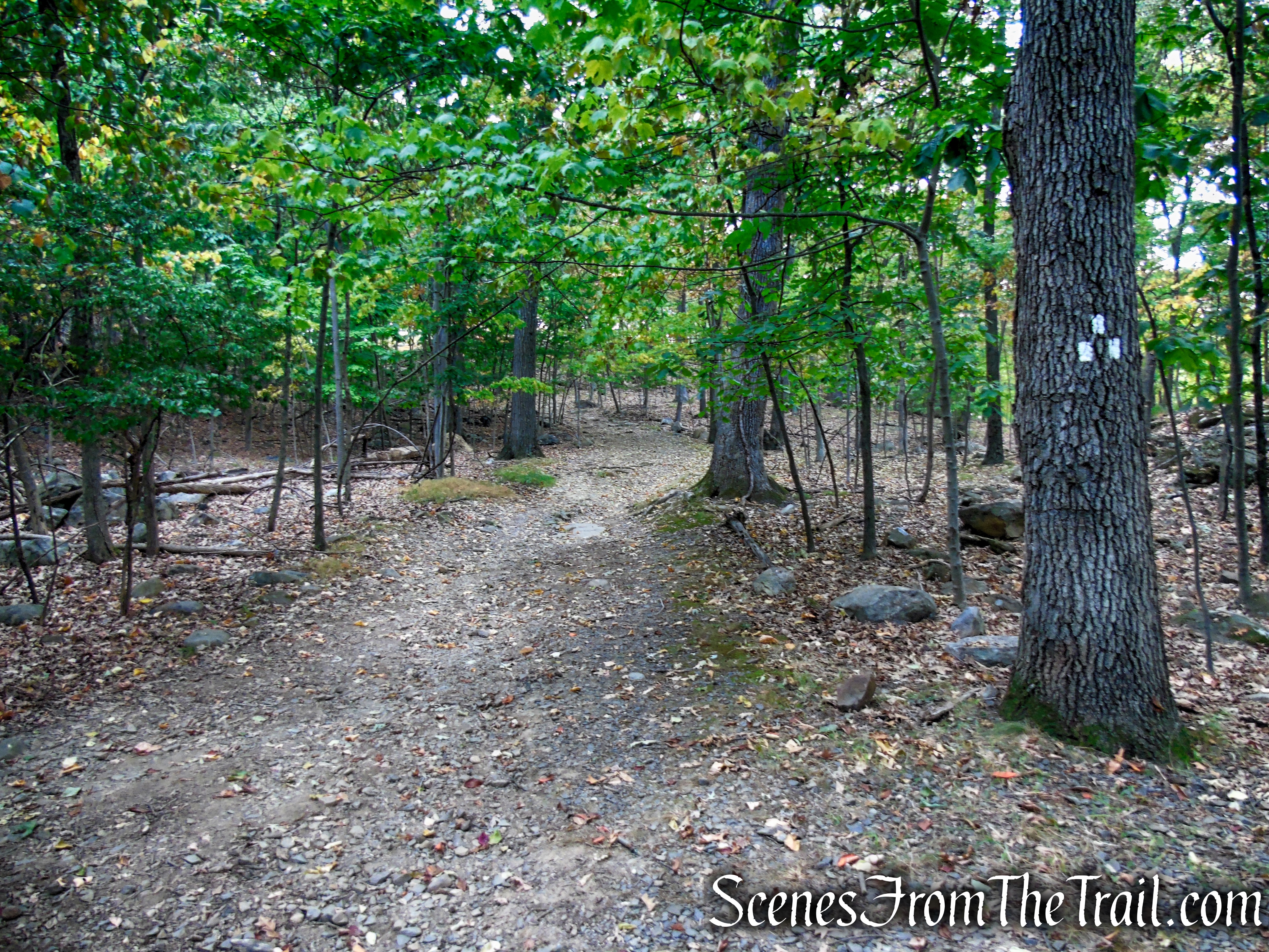 Little Tor Spur Trail - High Tor State Park