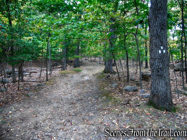Little Tor Spur Trail - High Tor State Park