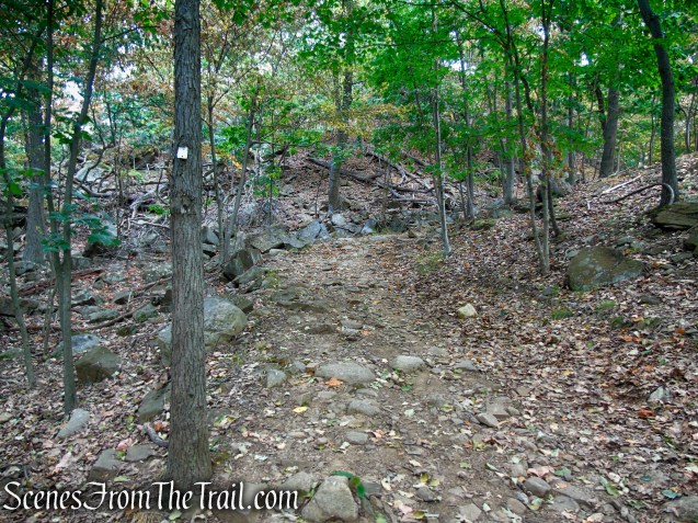 Little Tor Spur Trail - High Tor State Park
