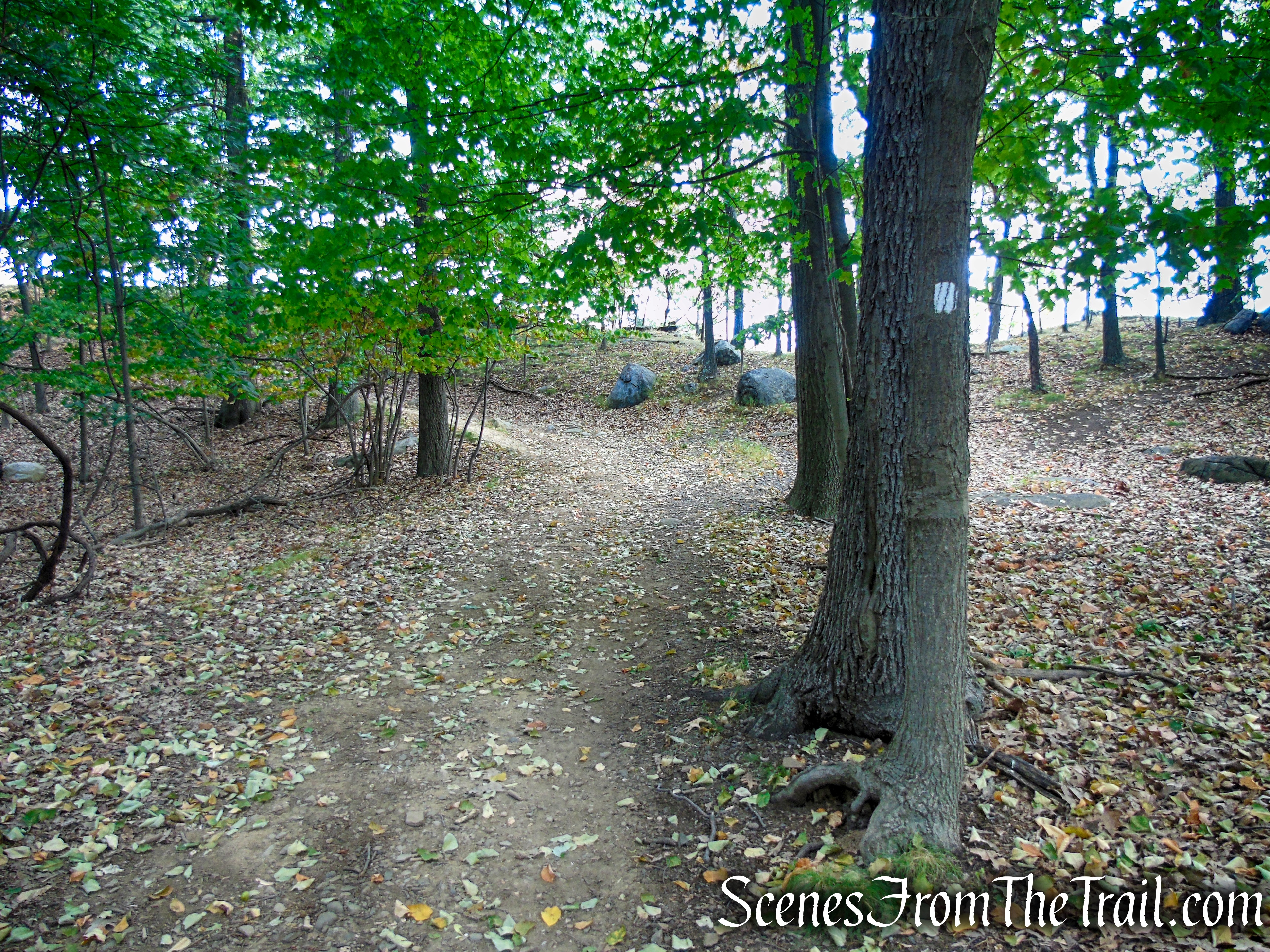 Little Tor Spur Trail - High Tor State Park