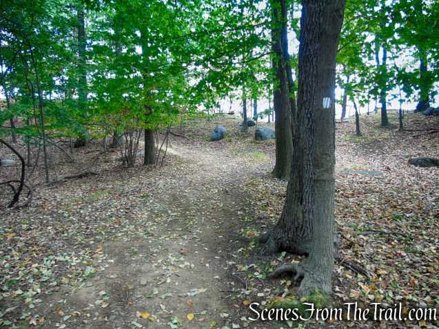 Little Tor Spur Trail - High Tor State Park
