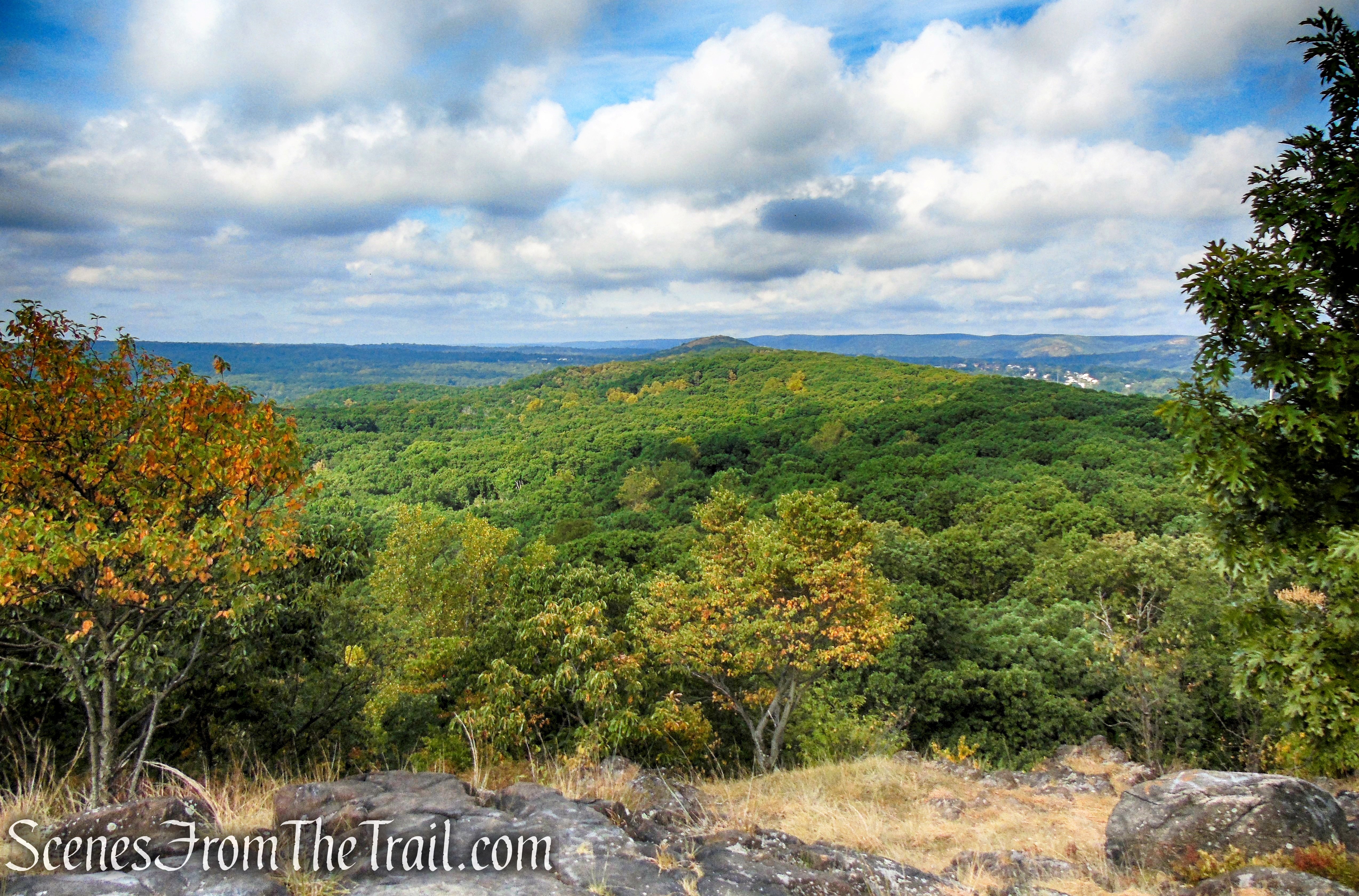 View northwest - Little Tor
