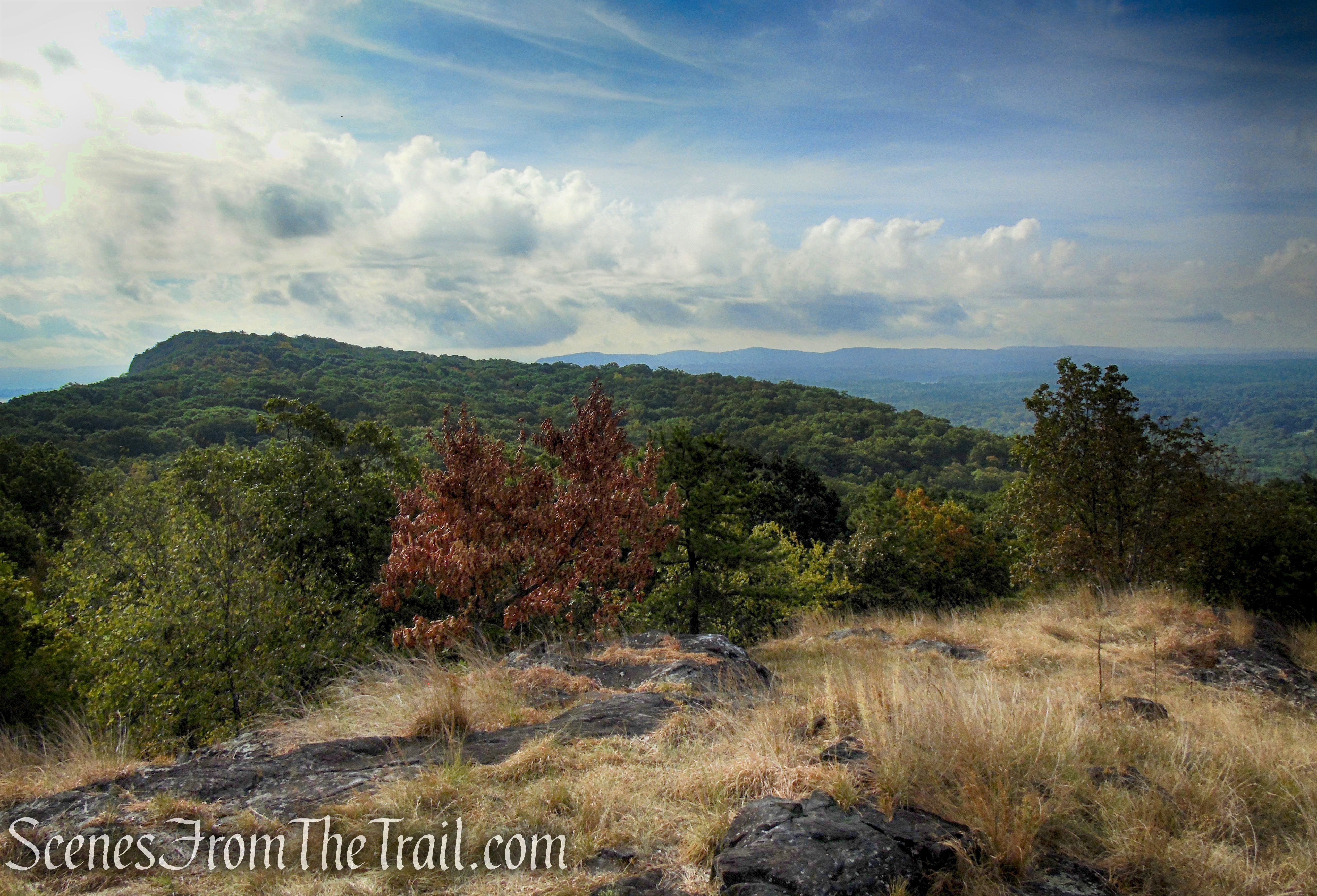 View south - Little Tor