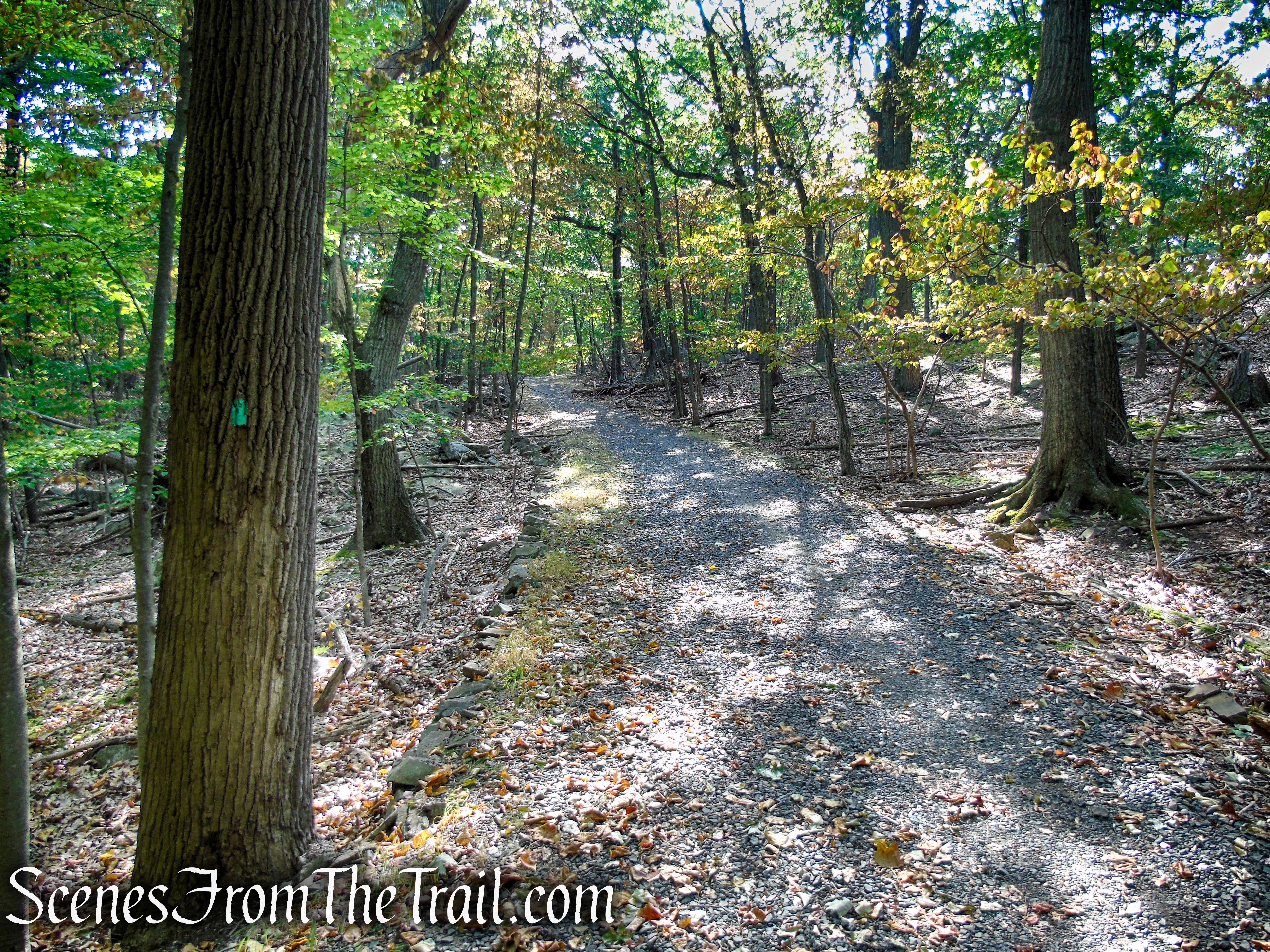 Long Path - High Tor State Park