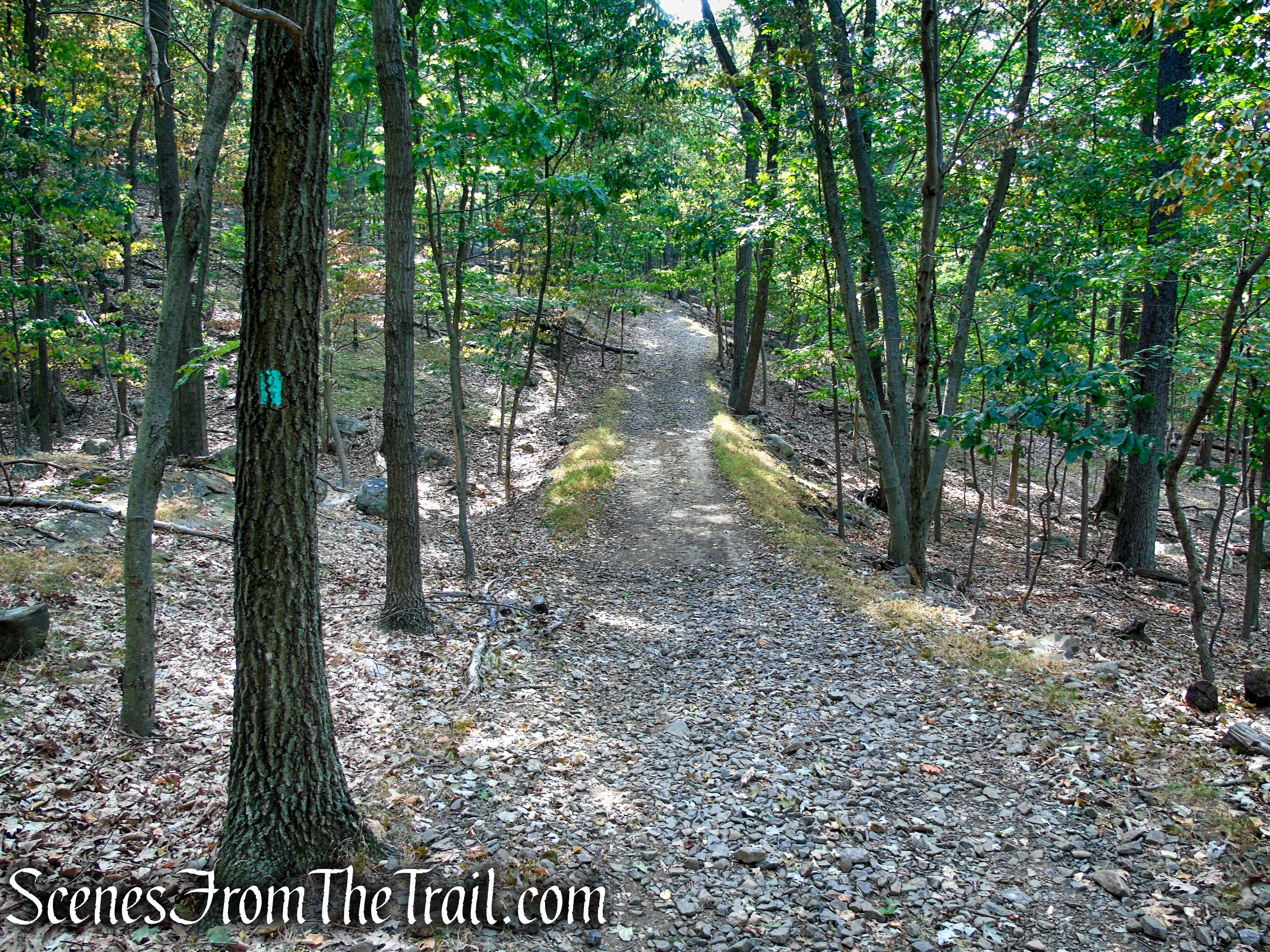 Long Path - High Tor State Park