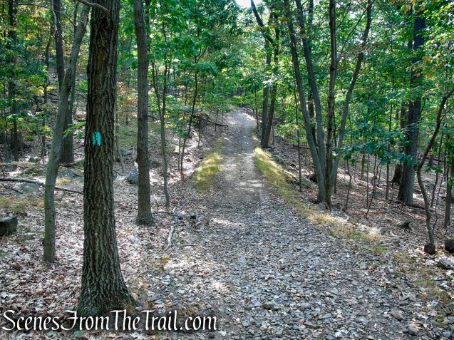 Long Path - High Tor State Park