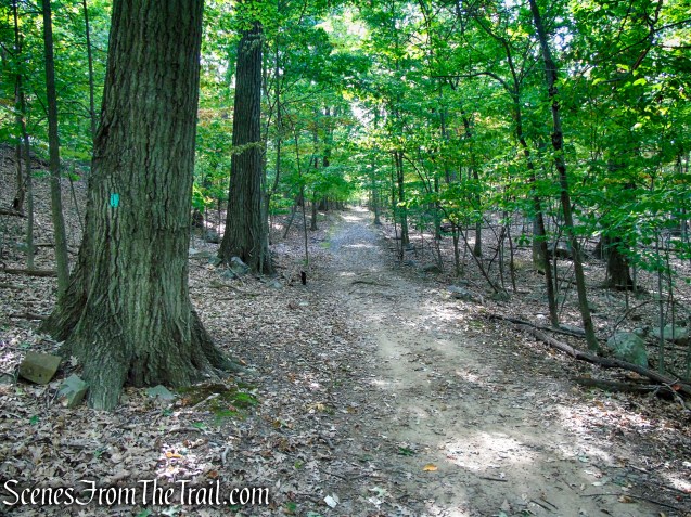 Long Path - High Tor State Park