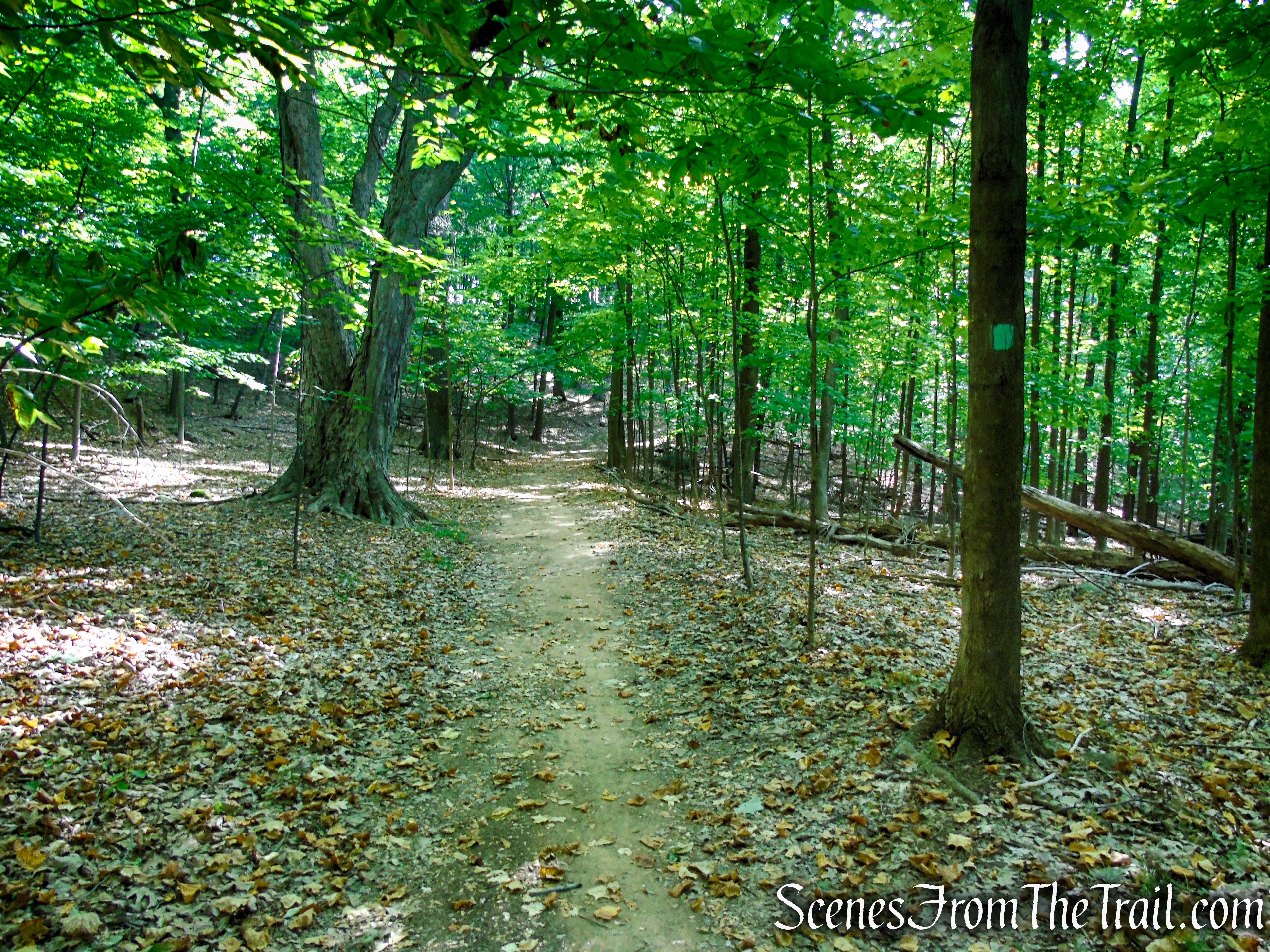 Long Path - High Tor State Park