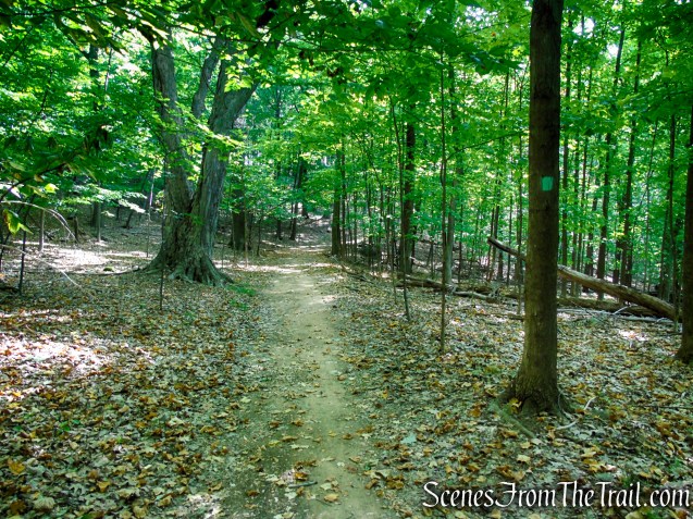 Long Path - High Tor State Park