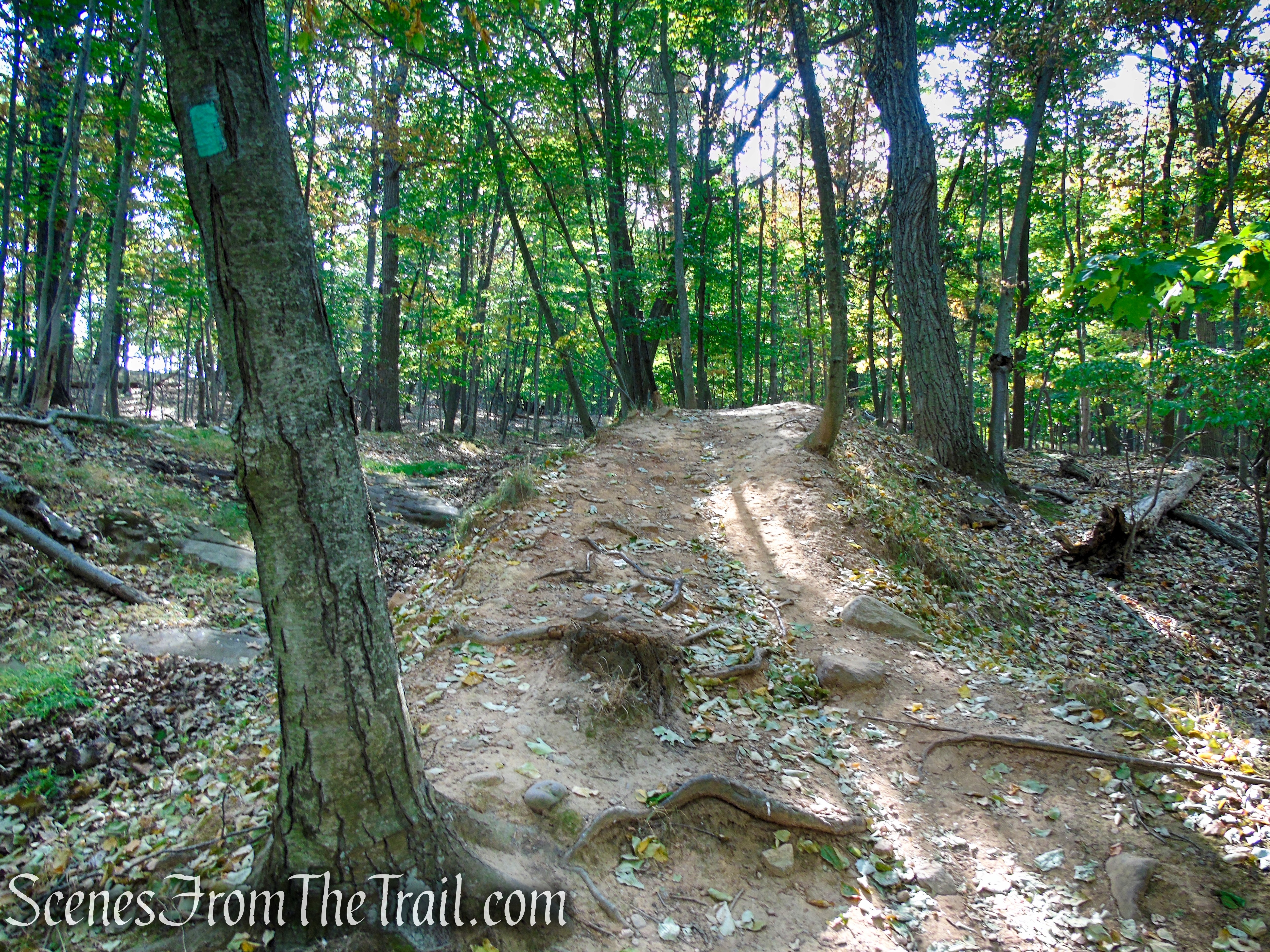Long Path - High Tor State Park