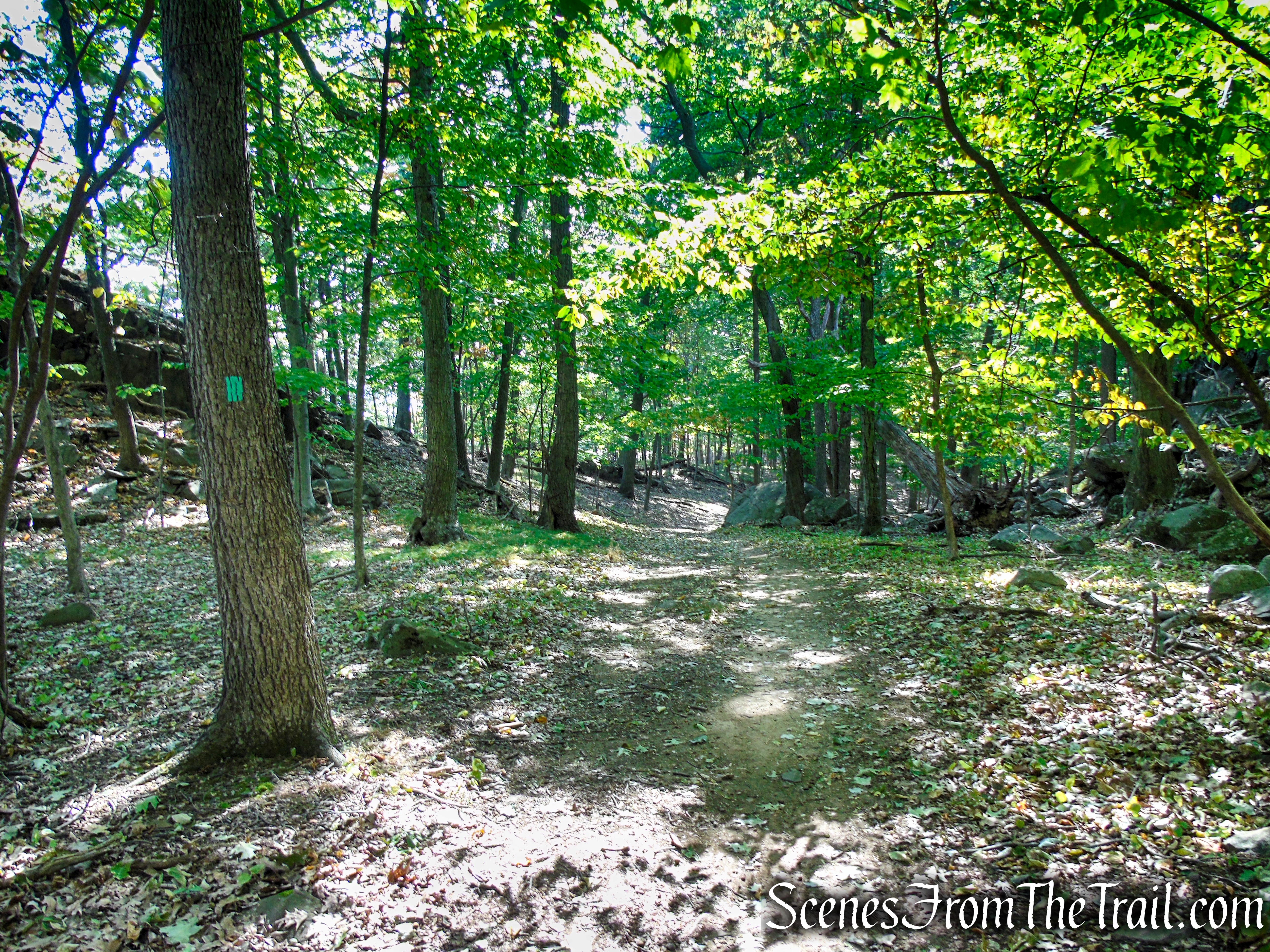 Long Path - High Tor State Park