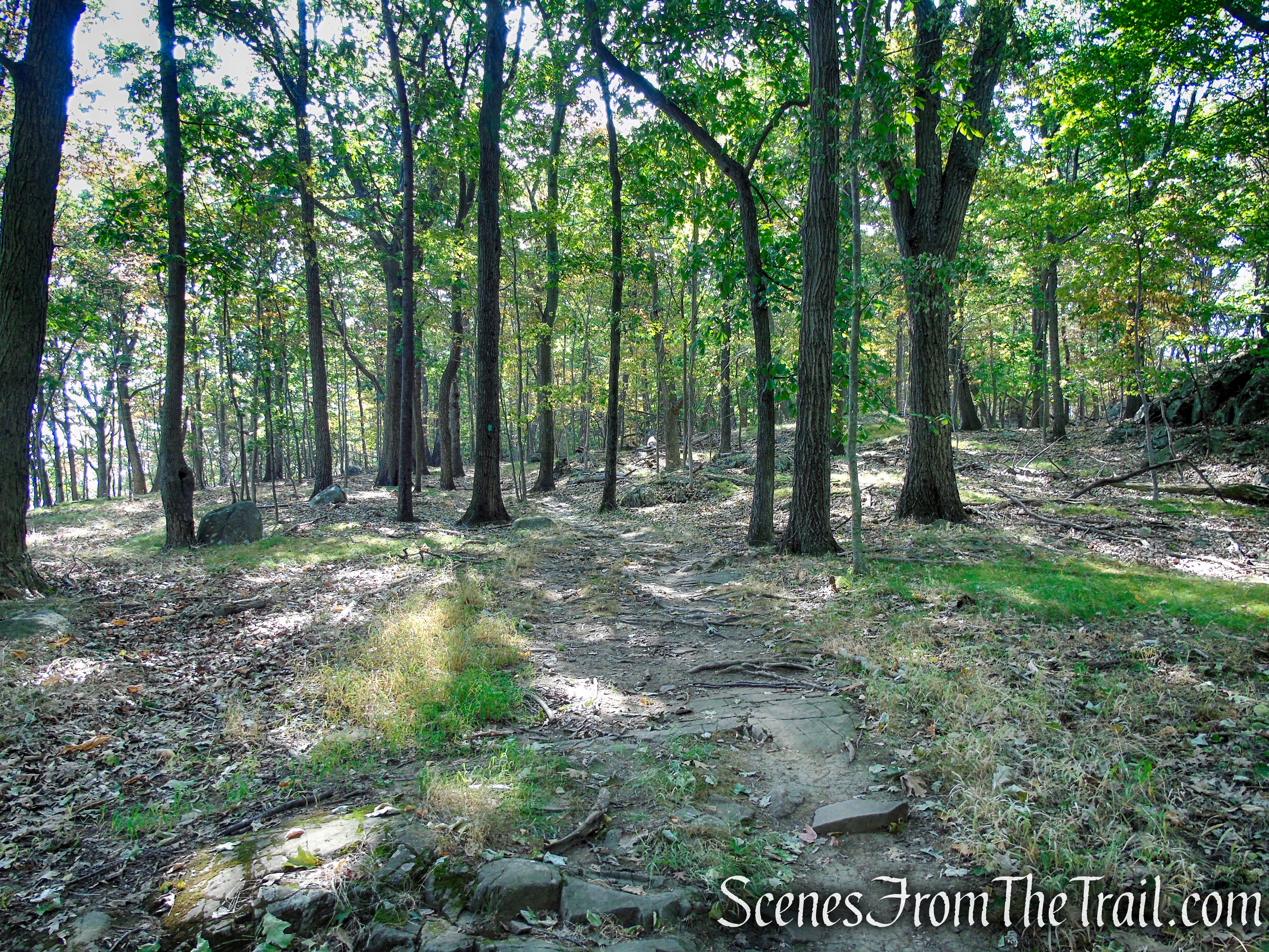 Long Path - High Tor State Park