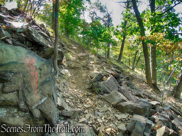 Long Path - High Tor State Park