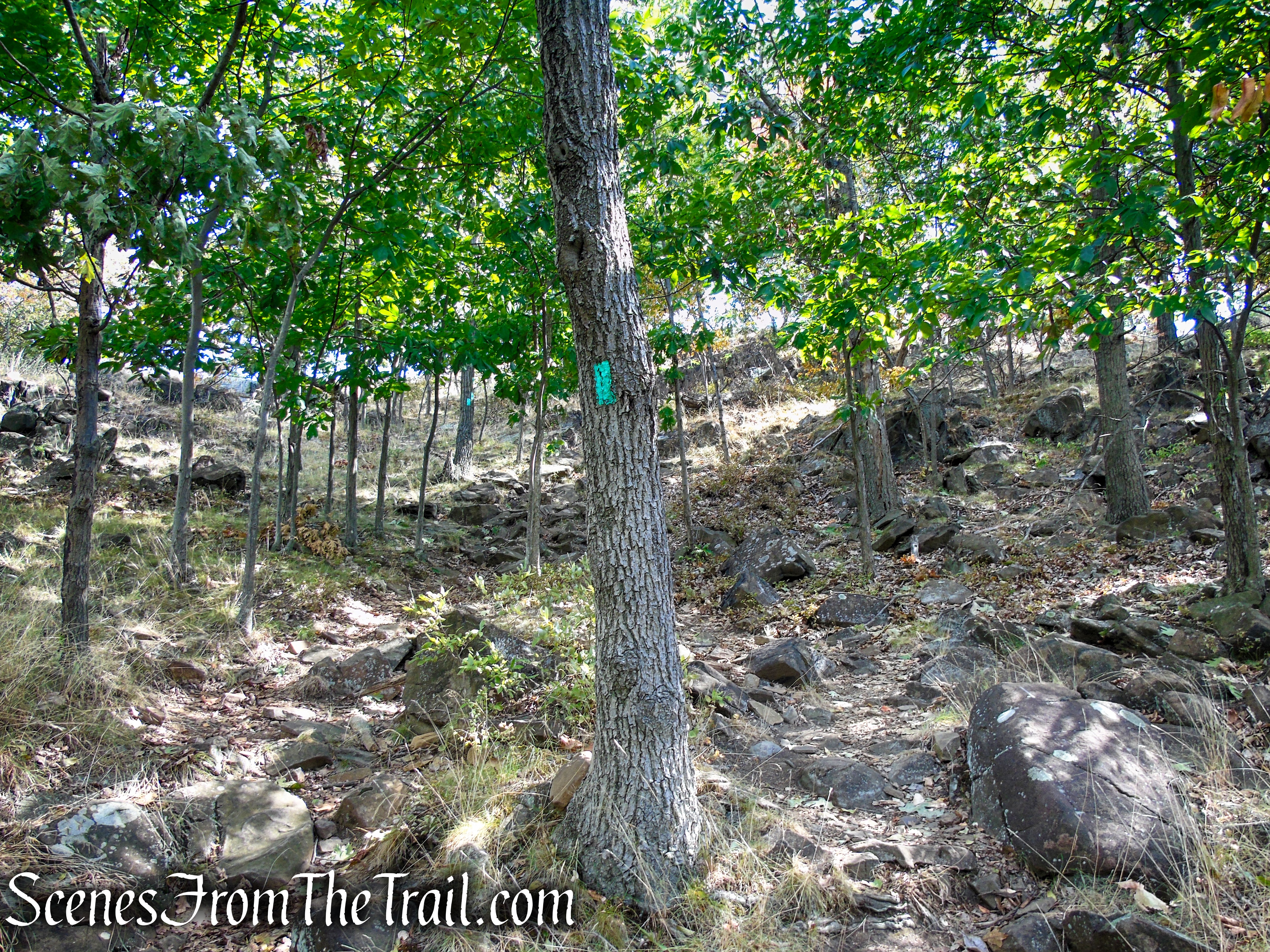 Long Path - High Tor State Park
